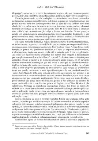 145
CAP. V – LEIS DA VARIAÇÃO
O quagga15
, apesar de ter o corpo listrado como a zebra, não tem riscas nas pernas;
porém, Asa Gray encontrou um destes animais com riscas bem visíveis nos jarretes.
Em relação ao cavalo, recolhi em Inglaterra exemplos da risca dorsal em cavalos
pertencentes às raças mais diferentes, e de todas as cores: as riscas transversais nas
pernas não são raras nos cavalos pardos e nos de pêlo-de-rato; também as vi num
alazão; às vezes vê-se uma risca suave sobre a espádua dos cavalos pardos e observei
também um vestígio de tal risca num cavalo baio. O meu filho esteve a observar
com cuidado um cavalo de tracção belga, e fez-me um desenho. De cor parda, o
cavalo tem uma risca dupla em cada espádua e as pernas raiadas. Eu próprio vi um
pónei-devonshire pardo com três riscas paralelas em cada espádua, e foi-me descrito
minuciosamente um pequeno pónei-galês com a mesma característica.
Na região noroeste da Índia, a raça de cavalos-kattywar é normalmente listrada,
de tal modo que, segundo o coronel Poole, que a estudou para o governo indiano,
não se considera como raça pura um cavalo desprovido de riscas. A risca dorsal existe
sempre; as pernas são geralmente listradas, e a risca da espádua, muito comum,
é algumas vezes dupla, ou mesmo tripla; até o lado do rosto é por vezes listrado.
As riscas são frequentemente evidentes nos potros, mas chegam a desaparecem
por completo nos cavalos mais velhos. O coronel Poole observou cavalos-kattywar
cinzentos e baios a nascer, e no momento do parto eram raiados. W. W. Edwards
tem-me transmitido informações q­ue me levam a crer que no cavalo-de-corrida-
inglês a risca dorsal é muito mais comum no potro que no animal adulto. Eu próprio
estou a criar um potro proveniente de uma égua baia (que nasceu do cruzamento
entre um cavalo turcomano e uma égua-flamenga) e de um cavalo-de-corrida-
-inglês baio. Quando tinha uma semana, este potro apresentava nas alcatras e na
fronte numerosas riscas muito finas e escuras, como as das zebras; todas estas riscas
desapareceram por completo rapidamente. Sem entrar aqui em mais detalhes,
posso afirmar que coligi casos de riscas nas pernas e nas espáduas de cavalos de
raças muito diferentes, em diversos países, da Inglaterra à China Ocidental, da
setentrional Noruega ao meridional arquipélago malaio. Em todas as partes do
mundo, estas riscas aparecem mais vezes nos cavalos de coloração parda e pêlo-de-
rato; a coloração parda compreende um leque de cores variado, e tanto podemos
encontrar cavalos com uma pelagem entre o castanho e o preto como com uma
coloração creme.
Estou consciente de que o coronel Hamilton Smith, que escreveu sobre este
assunto, acredita que as diferentes raças de cavalos descendem de várias espécies
selvagens, entre as quais teria havido uma de pelagem parda e que era raiada. Na sua
opinião, as variedades acima descritas foram todas obtidas a partir de cruzamentos
antigos com indivíduos pardos selvagens. Ora esta asserção é facilmente rejeitável,
pois é muito improvável que o corpulento cavalo-de-tracção-belga, os póneis-galeses,
o garrano-norueguês, os esbeltos kattywar, etc., raças que habitam as mais diversas
regiões do mundo, se tenham todas cruzado com uma suposta raça selvagem.
Examinemos agora os efeitos dos cruzamentos entre as diferentes espécies do
15
	Quagga era uma subespécie da zebra-das-planícies (Equus quagga quagga), com riscas apenas na
região anterior, entretanto extinta (N. do E.).
Colecção PLANETA DARWIN: © Planeta Vivo
 