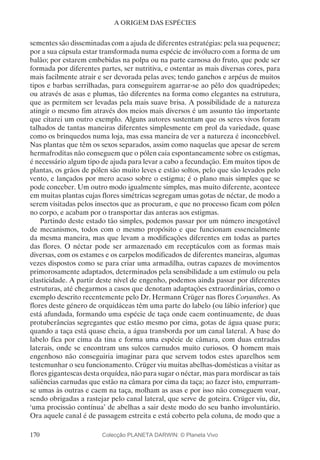 170
A ORIGEM DAS ESPÉCIES
sementes são disseminadas com a ajuda de diferentes estratégias: pela sua pequenez;
por a sua cápsula estar transformada numa espécie de invólucro com a forma de um
balão; por estarem embebidas na polpa ou na parte carnosa do fruto, que pode ser
formada por diferentes partes, ser nutritiva, e ostentar as mais diversas cores, para
mais facilmente atrair e ser devorada pelas aves; tendo ganchos e arpéus de muitos
tipos e barbas serrilhadas, para conseguirem agarrar-se ao pêlo dos quadrúpedes;
ou através de asas e plumas, tão diferentes na forma como elegantes na estrutura,
que as permitem ser levadas pela mais suave brisa. A possibilidade de a natureza
atingir o mesmo fim através dos meios mais diversos é um assunto tão importante
que citarei um outro exemplo. Alguns autores sustentam que os seres vivos foram
talhados de tantas maneiras diferentes simplesmente em prol da variedade, quase
como os brinquedos numa loja, mas essa maneira de ver a natureza é inconcebível.
Nas plantas que têm os sexos separados, assim como naquelas que apesar de serem
hermafroditas não conseguem que o pólen caia espontaneamente sobre os estigmas,
é necessário algum tipo de ajuda para levar a cabo a fecundação. Em muitos tipos de
plantas, os grãos de pólen são muito leves e estão soltos, pelo que são levados pelo
vento, e lançados por mero acaso sobre o estigma; é o plano mais simples que se
pode conceber. Um outro modo igualmente simples, mas muito diferente, acontece
em muitas plantas cujas flores simétricas segregam umas gotas de néctar, de modo a
serem visitadas pelos insectos que as procuram, e que no processo ficam com pólen
no corpo, e acabam por o transportar das anteras aos estigmas.
Partindo deste estado tão simples, podemos passar por um número inesgotável
de mecanismos, todos com o mesmo propósito e que funcionam essencialmente
da mesma maneira, mas que levam a modificações diferentes em todas as partes
das flores. O néctar pode ser armazenado em receptáculos com as formas mais
diversas, com os estames e os carpelos modificados de diferentes maneiras, algumas
vezes dispostos como se para criar uma armadilha, outras capazes de movimentos
primorosamente adaptados, determinados pela sensibilidade a um estímulo ou pela
elasticidade. A partir deste nível de engenho, podemos ainda passar por diferentes
estruturas, até chegarmos a casos que denotam adaptações extraordinárias, como o
exemplo descrito recentemente pelo Dr. Hermann Crüger nas flores Coryanthes. As
flores deste género de orquidáceas têm uma parte do labelo (ou lábio inferior) que
está afundada, formando uma espécie de taça onde caem continuamente, de duas
protuberâncias segregantes que estão mesmo por cima, gotas de água quase pura;
quando a taça está quase cheia, a água transborda por um canal lateral. A base do
labelo fica por cima da tina e forma uma espécie de câmara, com duas entradas
laterais, onde se encontram uns sulcos carnudos muito curiosos. O homem mais
engenhoso não conseguiria imaginar para que servem todos estes aparelhos sem
testemunhar o seu funcionamento. Crüger viu muitas abelhas-domésticas a visitar as
flores gigantescas desta orquídea, não para sugar o néctar, mas para mordiscar as tais
saliências carnudas que estão na câmara por cima da taça; ao fazer isto, empurram-
se umas às outras e caem na taça, molham as asas e por isso não conseguem voar,
sendo obrigadas a rastejar pelo canal lateral, que serve de goteira. Crüger viu, diz,
‘uma procissão contínua’ de abelhas a sair deste modo do seu banho involuntário.
Ora aquele canal é de passagem estreita e está coberto pela coluna, de modo que a
Colecção PLANETA DARWIN: © Planeta Vivo
 