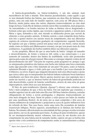 196
A ORIGEM DAS ESPÉCIES
A baleia-da-gronelândia, ou baleia-verdadeira, é um dos animais mais
maravilhosos de todo o mundo. Têm imensas peculiaridades, como aquilo a que
se tem chamado barbas das baleias, que consistem em duas filas de lâminas, qual
pentes, uma em cada lado do maxilar superior, com cerca de 300 placas finas e
flexíveis, muito juntas umas das outras, dispostas transversalmente ao eixo mais
longo da boca. Cada fila de lâminas contém outras filas secundárias, mais pequenas.
As extremidades e os bordos internos de todas as lâminas vão-se desgastando e
formam como que cerdas rígidas, que revestem o gigantesco palato, e servem para
filtrar a água, deixando-a sair, mas retendo as minúsculas presas que servem de
alimento a estes grandes animais. A lâmina central, a mais comprida desta baleia,
tem três a quatro metros (ou mesmo mais) de comprimento, mas nas diferentes
espécies de cetáceos encontramos gradações de comprimento; segundo Scoresby,
há espécies em que a lâmina central tem pouco mais de um metro, outras menos
ainda, como na baleia-anã (Balaenoptera rostrata), em que tem pouco mais de vinte
centímetros. A qualidade das barbas também difere nas diferentes espécies.
A este propósito, Mivart diz que se uma barba de baleia “atingiu tal tamanho
e desenvolvimento, de forma a tornar-se útil, então a sua conservação e o seu
aumento de tamanho, dentro dos limites da usabilidade, terão sido promovidos
apenas pela acção da selecção natural. Mas como se consegue adquirir o início de tal
desenvolvimento tão útil?” Em jeito de resposta, pode perguntar-se: porque é que
os antepassados primitivos das baleias com barba não tinham uma boca construída
como algo parecido com o bico lamelado de um pato? Os patos, como as baleias,
subsistem filtrando a água e o lodo, pelo que a sua família é por vezes chamada de
Criblatores, ou crivos. Espero que ninguém interprete mal estas observações e pense
que estou a dizer que os antepassados das baleias tinham realmente bocas lamelares
semelhantes aos bicos dos patos. Quero apenas mostrar que essa suposição não é
assim tão incrível, e que as imensas barbas da baleia-da-gronelândia poderiam ter
sido desenvolvidas a partir de lamelas semelhantes, através de uma série de graus
imperceptíveis, todos úteis aos seus detentores.
O bico do pato-trombeteiro (Spatula clypeata21
) oferece uma estrutura mais
bela e mais complexa do que a boca da baleia. Em um espécime que examinei, o
maxilar superior tem de cada lado uma fila com 188 finas lamelas elásticas, cortadas
obliquamente de forma a serem pontiagudas, e dispostas transversalmente ao
eixo mais alongado da boca. Saem do palato e estão presas aos lados do maxilar
por uma membrana flexível. As do meio são as mais compridas e têm cerca de
oitenta milímetros de comprimento e projectam-se cerca de quatro milímetros fora
do rebordo do bico. Nas suas bases, existe uma curta fila secundária de lamelas
transversais oblíquas. Nestes aspectos, assemelham-se às lâminas das barbas das
baleias. No entanto, diferem muito na extremidade do bico, porque aí estão reviradas
para dentro, em vez de apontadas para baixo. A cabeça do pato-trombeteiro, apesar
de ser incomparavelmente menos volumosa, tem cerca de um dezoito avos do
comprimento de uma baleia-anã de tamanho médio, espécie em que as barbas têm
apenas vinte e três centímetros de comprimento; assim, se aumentássemos a cabeça
21
	Agora Anas clypeata (N. do E.).
Colecção PLANETA DARWIN: © Planeta Vivo
 