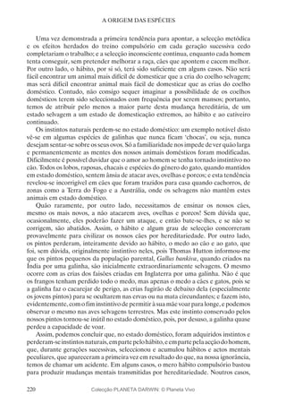 220
A ORIGEM DAS ESPÉCIES
Uma vez demonstrada a primeira tendência para apontar, a selecção metódica
e os efeitos herdados do treino compulsório em cada geração sucessiva cedo
completariam o trabalho; e a selecção inconsciente continua, enquanto cada homem
tenta conseguir, sem pretender melhorar a raça, cães que apontem e cacem melhor.
Por outro lado, o hábito, por si só, terá sido suficiente em alguns casos. Não será
fácil encontrar um animal mais difícil de domesticar que a cria do coelho selvagem;
mas será difícil encontrar animal mais fácil de domesticar que as crias do coelho
doméstico. Contudo, não consigo sequer imaginar a possibilidade de os coelhos
domésticos terem sido seleccionados com frequência por serem mansos; portanto,
temos de atribuir pelo menos a maior parte desta mudança hereditária, de um
estado selvagem a um estado de domesticação extremos, ao hábito e ao cativeiro
continuado.
Os instintos naturais perdem-se no estado doméstico: um exemplo notável disto
vê-se em algumas espécies de galinhas que nunca ficam ‘chocas’, ou seja, nunca
desejam sentar-se sobre os seus ovos. Só a familiaridade nos impede de ver quão larga
e permanentemente as mentes dos nossos animais domésticos foram modificadas.
Dificilmente é possível duvidar que o amor ao homem se tenha tornado instintivo no
cão. Todos os lobos, raposas, chacais e espécies do género do gato, quando mantidos
em estado doméstico, sentem ânsia de atacar aves, ovelhas e porcos; e esta tendência
revelou-se incorrigível em cães que foram trazidos para casa quando cachorros, de
zonas como a Terra do Fogo e a Austrália, onde os selvagens não mantêm estes
animais em estado doméstico.
Quão raramente, por outro lado, necessitamos de ensinar os nossos cães,
mesmo os mais novos, a não atacarem aves, ovelhas e porcos! Sem dúvida que,
ocasionalmente, eles poderão fazer um ataque, e então bate-se-lhes, e se não se
corrigem, são abatidos. Assim, o hábito e algum grau de selecção concorreram
provavelmente para civilizar os nossos cães por hereditariedade. Por outro lado,
os pintos perderam, inteiramente devido ao hábito, o medo ao cão e ao gato, que
foi, sem dúvida, originalmente instintivo neles, pois Thomas Hutton informou-me
que os pintos pequenos da população parental, Gallus bankiva, quando criados na
Índia por uma galinha, são inicialmente extraordinariamente selvagens. O mesmo
ocorre com as crias dos faisões criadas em Inglaterra por uma galinha. Não é que
os frangos tenham perdido todo o medo, mas apenas o medo a cães e gatos, pois se
a galinha faz o cacarejar de perigo, as crias fugirão de debaixo dela (especialmente
os jovens pintos) para se ocultarem nas ervas ou na mata circundantes; e fazem isto,
evidentemente, com o fim instintivo de permitir à sua mãe voar para longe, e podemos
observar o mesmo nas aves selvagens terrestres. Mas este instinto conservado pelos
nossos pintos tornou-se inútil no estado doméstico, pois, por desuso, a galinha quase
perdeu a capacidade de voar.
Assim, podemos concluir que, no estado doméstico, foram adquiridos instintos e
perderam-seinstintosnaturais,empartepelohábito,eempartepelaacçãodohomem,
que, durante gerações sucessivas, seleccionou e acumulou hábitos e actos mentais
peculiares, que apareceram a primeira vez em resultado do que, na nossa ignorância,
temos de chamar um acidente. Em alguns casos, o mero hábito compulsório bastou
para produzir mudanças mentais transmitidas por hereditariedade. Noutros casos,
Colecção PLANETA DARWIN: © Planeta Vivo
 