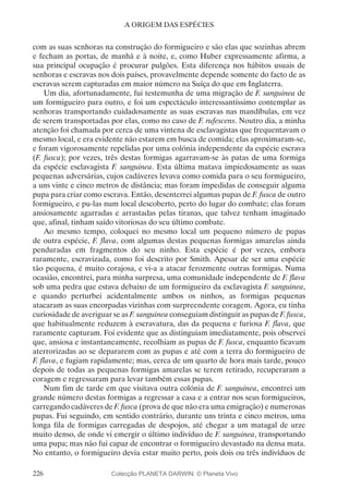 226
A ORIGEM DAS ESPÉCIES
com as suas senhoras na construção do formigueiro e são elas que sozinhas abrem
e fecham as portas, de manhã e à noite, e, como Huber expressamente afirma, a
sua principal ocupação é procurar pulgões. Esta diferença nos hábitos usuais de
senhoras e escravas nos dois países, provavelmente depende somente do facto de as
escravas serem capturadas em maior número na Suíça do que em Inglaterra.
Um dia, afortunadamente, fui testemunha de uma migração de F. sanguinea de
um formigueiro para outro, e foi um espectáculo interessantíssimo contemplar as
senhoras transportando cuidadosamente as suas escravas nas mandíbulas, em vez
de serem transportadas por elas, como no caso de F. rufescens. Noutro dia, a minha
atenção foi chamada por cerca de uma vintena de esclavagistas que frequentavam o
mesmo local, e era evidente não estarem em busca de comida; elas aproximaram-se,
e foram vigorosamente repelidas por uma colónia independente da espécie escrava
(F. fusca); por vezes, três destas formigas agarravam-se às patas de uma formiga
da espécie esclavagista F. sanguinea. Esta última matava impiedosamente as suas
pequenas adversárias, cujos cadáveres levava como comida para o seu formigueiro,
a uns vinte e cinco metros de distância; mas foram impedidas de conseguir alguma
pupa para criar como escrava. Então, desenterrei algumas pupas de F. fusca de outro
formigueiro, e pu-las num local descoberto, perto do lugar do combate; elas foram
ansiosamente agarradas e arrastadas pelas tiranas, que talvez tenham imaginado
que, afinal, tinham saído vitoriosas do seu último combate.
Ao mesmo tempo, coloquei no mesmo local um pequeno número de pupas
de outra espécie, F. flava, com algumas destas pequenas formigas amarelas ainda
penduradas em fragmentos do seu ninho. Esta espécie é por vezes, embora
raramente, escravizada, como foi descrito por Smith. Apesar de ser uma espécie
tão pequena, é muito corajosa, e vi-a a atacar ferozmente outras formigas. Numa
ocasião, encontrei, para minha surpresa, uma comunidade independente de F. flava
sob uma pedra que estava debaixo de um formigueiro da esclavagista F. sanguinea,
e quando perturbei acidentalmente ambos os ninhos, as formigas pequenas
atacaram as suas encorpadas vizinhas com surpreendente coragem. Agora, eu tinha
curiosidade de averiguar se as F. sanguinea conseguiam distinguir as pupas de F. fusca,
que habitualmente reduzem à escravatura, das da pequena e furiosa F. flava, que
raramente capturam. Foi evidente que as distinguiam imediatamente, pois observei
que, ansiosa e instantaneamente, recolhiam as pupas de F. fusca, enquanto ficavam
aterrorizadas ao se depararem com as pupas e até com a terra do formigueiro de
F. flava, e fugiam rapidamente; mas, cerca de um quarto de hora mais tarde, pouco
depois de todas as pequenas formigas amarelas se terem retirado, recuperaram a
coragem e regressaram para levar também essas pupas.
Num fim de tarde em que visitava outra colónia de F. sanguinea, encontrei um
grande número destas formigas a regressar a casa e a entrar nos seus formigueiros,
carregando cadáveres de F. fusca (prova de que não era uma emigração) e numerosas
pupas. Fui seguindo, em sentido contrário, durante uns trinta e cinco metros, uma
longa fila de formigas carregadas de despojos, até chegar a um matagal de urze
muito denso, de onde vi emergir o último indivíduo de F. sanguinea, transportando
uma pupa; mas não fui capaz de encontrar o formigueiro devastado na densa mata.
No entanto, o formigueiro devia estar muito perto, pois dois ou três indivíduos de
Colecção PLANETA DARWIN: © Planeta Vivo
 