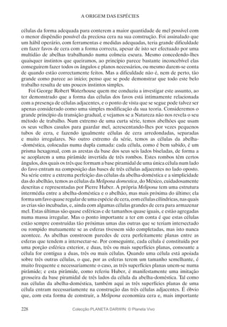 228
A ORIGEM DAS ESPÉCIES
células da forma adequada para conterem a maior quantidade de mel possível com
o menor dispêndio possível da preciosa cera na sua construção. Foi assinalado que
um hábil operário, com ferramentas e medidas adequadas, teria grande dificuldade
em fazer favos de cera com a forma correcta, apesar de isto ser efectuado por uma
multidão de abelhas trabalhando numa colmeia escura. Mesmo concedendo-lhes
quaisquer instintos que queiramos, ao princípio parece bastante inconcebível elas
conseguirem fazer todos os ângulos e planos necessários, ou mesmo darem-se conta
de quando estão correctamente feitos. Mas a dificuldade não é, nem de perto, tão
grande como parece ao início; penso que se pode demonstrar que todo este belo
trabalho resulta de uns poucos instintos simples.
Foi George Robert Waterhouse quem me conduziu a investigar este assunto, ao
ter demonstrado que a forma das células dos favos está intimamente relacionada
com a presença de células adjacentes, e o ponto de vista que se segue pode talvez ser
apenas considerado como uma simples modificação da sua teoria. Consideremos o
grande princípio da transição gradual, e vejamos se a Natureza não nos revela o seu
método de trabalho. Num extremo de uma curta série, temos abelhões que usam
os seus velhos casulos para guardar mel, acrescentando-lhes por vezes pequenos
tubos de cera, e fazendo igualmente células de cera arredondadas, separadas
e muito irregulares. No outro extremo da série, temos as células da abelha-
-doméstica, colocadas numa dupla camada: cada célula, como é bem sabido, é um
prisma hexagonal, com as arestas da base dos seus seis lados biseladas, de forma a
se acoplarem a uma pirâmide invertida de três rombos. Estes rombos têm certos
ângulos, dos quais os três que formam a base piramidal de uma única célula num lado
do favo entram na composição das bases de três células adjacentes no lado oposto.
Na série entre a extrema perfeição das células da abelha-doméstica e a simplicidade
das do abelhão, temos as células da Melipona domestica, do México, cuidadosamente
descritas e representadas por Pierre Huber. A própria Melipona tem uma estrutura
intermédia entre a abelha-doméstica e o abelhão, mas mais próxima do último; ela
formaumfavoquaseregulardeumaespéciedecera,comcélulascilíndricas,nasquais
as crias são incubadas, e, ainda com algumas células grandes de cera para armazenar
mel. Estas últimas são quase esféricas e de tamanhos quase iguais, e estão agregadas
numa massa irregular. Mas o ponto importante a ter em conta é que estas células
estão sempre construídas tão próximas umas das outras que se teriam intersectado
ou rompido mutuamente se as esferas tivessem sido completadas, mas isto nunca
acontece. As abelhas constroem paredes de cera perfeitamente planas entre as
esferas que tendem a intersectar-se. Por conseguinte, cada célula é constituída por
uma porção esférica exterior, e duas, três ou mais superfícies planas, consoante a
célula for contígua a duas, três ou mais células. Quando uma célula está apoiada
sobre três outras células, o que, por as esferas terem um tamanho semelhante, é
muito frequente e necessariamente o caso, as três superfícies planas unem-se numa
pirâmide; e esta pirâmide, como referiu Huber, é manifestamente uma imitação
grosseira da base piramidal de três lados da célula da abelha-doméstica. Tal como
nas células da abelha-doméstica, também aqui as três superfícies planas de uma
célula entram necessariamente na construção das três células adjacentes. É óbvio
que, com esta forma de construir, a Melipona economiza cera e, mais importante
Colecção PLANETA DARWIN: © Planeta Vivo
 