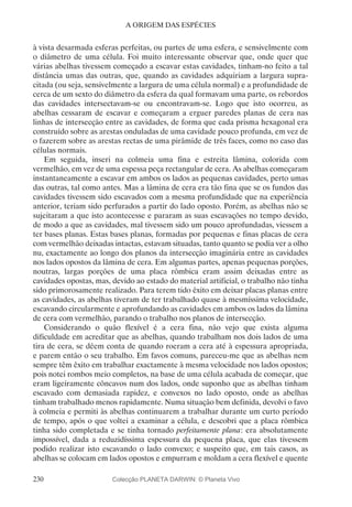 230
A ORIGEM DAS ESPÉCIES
à vista desarmada esferas perfeitas, ou partes de uma esfera, e sensivelmente com
o diâmetro de uma célula. Foi muito interessante observar que, onde quer que
várias abelhas tivessem começado a escavar estas cavidades, tinham-no feito a tal
distância umas das outras, que, quando as cavidades adquiriam a largura supra-
citada (ou seja, sensivelmente a largura de uma célula normal) e a profundidade de
cerca de um sexto do diâmetro da esfera da qual formavam uma parte, os rebordos
das cavidades intersectavam-se ou encontravam-se. Logo que isto ocorreu, as
abelhas cessaram de escavar e começaram a erguer paredes planas de cera nas
linhas de intersecção entre as cavidades, de forma que cada prisma hexagonal era
construído sobre as arestas onduladas de uma cavidade pouco profunda, em vez de
o fazerem sobre as arestas rectas de uma pirâmide de três faces, como no caso das
células normais.
Em seguida, inseri na colmeia uma fina e estreita lâmina, colorida com
vermelhão, em vez de uma espessa peça rectangular de cera. As abelhas começaram
instantaneamente a escavar em ambos os lados as pequenas cavidades, perto umas
das outras, tal como antes. Mas a lâmina de cera era tão fina que se os fundos das
cavidades tivessem sido escavados com a mesma profundidade que na experiência
anterior, teriam sido perfurados a partir do lado oposto. Porém, as abelhas não se
sujeitaram a que isto acontecesse e pararam as suas escavações no tempo devido,
de modo a que as cavidades, mal tivessem sido um pouco aprofundadas, viessem a
ter bases planas. Estas bases planas, formadas por pequenas e finas placas de cera
com vermelhão deixadas intactas, estavam situadas, tanto quanto se podia ver a olho
nu, exactamente ao longo dos planos da intersecção imaginária entre as cavidades
nos lados opostos da lâmina de cera. Em algumas partes, apenas pequenas porções,
noutras, largas porções de uma placa rômbica eram assim deixadas entre as
cavidades opostas, mas, devido ao estado do material artificial, o trabalho não tinha
sido primorosamente realizado. Para terem tido êxito em deixar placas planas entre
as cavidades, as abelhas tiveram de ter trabalhado quase à mesmíssima velocidade,
escavando circularmente e aprofundando as cavidades em ambos os lados da lâmina
de cera com vermelhão, parando o trabalho nos planos de intersecção.
Considerando o quão flexível é a cera fina, não vejo que exista alguma
dificuldade em acreditar que as abelhas, quando trabalham nos dois lados de uma
tira de cera, se dêem conta de quando roeram a cera até à espessura apropriada,
e parem então o seu trabalho. Em favos comuns, pareceu-me que as abelhas nem
sempre têm êxito em trabalhar exactamente à mesma velocidade nos lados opostos;
pois notei rombos meio completos, na base de uma célula acabada de começar, que
eram ligeiramente côncavos num dos lados, onde suponho que as abelhas tinham
escavado com demasiada rapidez, e convexos no lado oposto, onde as abelhas
tinham trabalhado menos rapidamente. Numa situação bem definida, devolvi o favo
à colmeia e permiti às abelhas continuarem a trabalhar durante um curto período
de tempo, após o que voltei a examinar a célula, e descobri que a placa rômbica
tinha sido completada e se tinha tornado perfeitamente plana: era absolutamente
impossível, dada a reduzidíssima espessura da pequena placa, que elas tivessem
podido realizar isto escavando o lado convexo; e suspeito que, em tais casos, as
abelhas se colocam em lados opostos e empurram e moldam a cera flexível e quente
Colecção PLANETA DARWIN: © Planeta Vivo
 