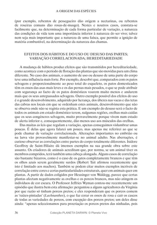 36
A ORIGEM DAS ESPÉCIES
(por exemplo, rebentos de pessegueiro dão origem a nectarinas, ou rebentos
de roseiras comuns dão rosas-de-musgo). Nestes e noutros casos, constata-se
facilmente que, na determinação de cada forma particular de variação, a natureza
das condições de vida tem uma importância inferior à natureza do ser vivo; talvez
nem seja mais importante que a natureza de uma faísca, que permite a ignição de
matéria combustível, na determinação da natureza das chamas.
EFEITOS DOS HÁBITOS E DO USO OU DESUSO DAS PARTES;
VARIAÇÃO CORRELACIONADA; HEREDITARIEDADE
A mudança de hábitos produz efeitos que são transmitidos por hereditariedade,
como acontece com o período de floração das plantas que são movidas para um clima
diferente. No caso dos animais, o aumento de uso ou desuso de uma parte do corpo
teve uma influência mais forte. Por exemplo, descobri que, comparados com os patos
selvagens e proporcionalmente ao peso total do esqueleto, os patos domesticados
têm os ossos das asas mais leves e os das pernas mais pesados, o que se pode atribuir
com segurança ao facto de os patos domésticos voarem muito menos e andarem
mais que os seus antepassados selvagens. Outro exemplo possível dos efeitos do uso
é o grande desenvolvimento, adquirido por herança, dos úberes nas vacas e das tetas
das cabras nos locais em que se ordenham estes animais, desenvolvimento que não
se observa onde não se regista esta prática. E um exemplo do desuso será o facto de
todos os animais em estado doméstico terem, nalgumas regiões, orelhas mais caídas
que os seus congéneres selvagens, muito provavelmente porque vivem num estado
de alerta inferior e, consequentemente, dão menos uso aos músculos das orelhas.
Das muitas as leis que regulam a variação, apenas conseguimos vislumbrar umas
poucas. É delas que agora falarei um pouco, mas apenas me referirei ao que se
pode chamar de variação correlacionada. Alterações importantes no embrião ou
na larva vão provavelmente manifestar-se no animal adulto. Nas aberrações, é
curioso observar as correlações entre partes do corpo totalmente diferentes. Isidore
Geoffroy de Saint-Hilaire dá imensos exemplos na sua grande obra sobre este
assunto. Os criadores de animais acreditam que, por norma, se um animal tiver os
membros compridos, terá também uma cabeça alongada. Alguns casos de correlação
são bastante bizarros, como é o caso de os gatos completamente brancos e que têm
os olhos azuis serem geralmente surdos (Robert Tait afirmou recentemente que
isto é limitado aos machos). Também se podem citar muitos exemplos incríveis de
correlação entre cores e certas particularidades estruturais, quer em animais quer em
plantas. A partir de dados coligidos por Heusinger von Waldegg, parece que certas
plantas afectam negativamente as ovelhas e os porcos brancos, mas não atingem os
indivíduos de cor escura. O Professor Jeffries Wyman contou-me recentemente um
episódio que ilustra bem esta afirmação: perguntou a alguns agricultores da Virgínia
por que razão só tinham porcos pretos; e eles responderam que os porcos comem
as ‘raízes-pintadas’ (Lachnanthes), o que faz corar os ossos de rosa e cair os cascos
de todas as variedades de porcos, com excepção dos porcos pretos; um deles disse
ainda: “apenas seleccionamos para procriação os porcos pretos das ninhadas, pois
Colecção PLANETA DARWIN: © Planeta Vivo
 