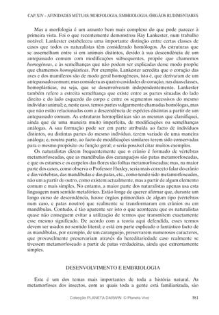 A Origem das Espécies - Charles Darwin