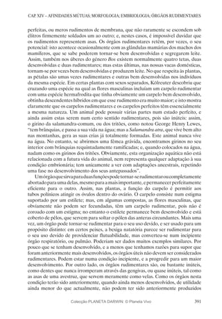 A Origem das Espécies - Charles Darwin