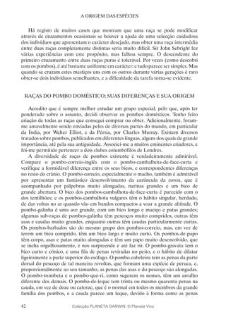 42
A ORIGEM DAS ESPÉCIES
Há registo de muitos casos que mostram que uma raça se pode modificar
através de cruzamentos ocasionais se houver a ajuda de uma selecção cuidadosa
dos indivíduos que apresentam o carácter desejado, mas obter uma raça intermédia
entre duas raças completamente distintas seria muito difícil. Sir John Sebright fez
várias experiências com este propósito, mas falhou sempre. O descendente do
primeiro cruzamento entre duas raças puras é tolerável. Por vezes (como descobri
com os pombos), é até bastante uniforme em carácter: e tudo parece ser simples. Mas
quando se cruzam estes mestiços uns com os outros durante várias gerações é raro
obter-se dois indivíduos semelhantes, e a dificuldade da tarefa torna-se evidente.
RAÇAS DO POMBO DOMÉSTICO; SUAS DIFERENÇAS E SUA ORIGEM
Acredito que é sempre melhor estudar um grupo especial, pelo que, após ter
ponderado sobre o assunto, decidi observar os pombos domésticos. Tenho feito
criação de todas as raças que consegui comprar ou obter. Adicionalmente, foram-
me amavelmente sendo enviadas peles de diversas partes do mundo, em particular
da Índia, por Walter Elliot, e da Pérsia, por Charles Murray. Existem diversos
tratados sobre pombos, publicados em diferentes línguas, alguns dos quais de grande
importância, até pela sua antiguidade. Associei-me a muitos eminentes criadores, e
foi-me permitido pertencer a dois clubes columbófilos de Londres.
A diversidade de raças de pombos existente é verdadeiramente admirável.
Compare o pombo-correio-inglês com o pombo-cambalhota-de-face-curta e
verifique a formidável diferença entre os seus bicos, e correspondentes diferenças
no resto do crânio. O pombo-correio, especialmente o macho, também é admirável
por apresentar um fantástico desenvolvimento da carúncula da coroa, que é
acompanhado por pálpebras muito alongadas, narinas grandes e um bico de
grande abertura. O bico dos pombos-cambalhota-de-face-curta é parecido com o
dos tentilhões; e os pombos-cambalhota vulgares têm o hábito singular, herdado,
de dar voltas no ar quando vão em bandos compactos a voar a grande altitude. O
pombo-galinha é uma ave grande, com um bico longo e maciço e patas grandes;
algumas sub-raças de pombos-galinha têm pescoços muito compridos, outras têm
asas e caudas muito grandes, enquanto outras têm caudas particularmente curtas.
Os pombos-barbados são do mesmo grupo dos pombos-correio, mas, em vez de
terem um bico comprido, têm um bico largo e muito curto. Os pombos-de-papo
têm corpo, asas e patas muito alongadas e têm um papo muito desenvolvido, que
se incha orgulhosamente, e nos surpreende e até faz rir. O pombo-gravata tem o
bico curto e cónico, e uma fila de penas reviradas no peito, e o hábito de dilatar
ligeiramente a parte superior do esófago. O pombo-cabeleira tem as penas da parte
dorsal do pescoço de tal maneira revoltas, que formam uma espécie de peruca, e,
proporcionalmente ao seu tamanho, as penas das asas e do pescoço são alongadas.
O pombo-trombeta e o pombo-que-ri, como sugerem os nomes, têm um arrulho
diferente dos demais. O pombo-de-leque tem trinta ou mesmo quarenta penas na
cauda, em vez de doze ou catorze, que é o normal em todos os membros da grande
família dos pombos, e a cauda parece um leque, devido à forma como as penas
Colecção PLANETA DARWIN: © Planeta Vivo
 