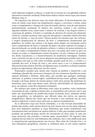 43
CAP. I – VARIAÇÃO SOB DOMESTICAÇÃO
estão dispostas (nalguns a cabeça e a cauda até se tocam); já a sua glândula sebácea
apresenta-se bastante atrofiada. Poderíamos indicar muitas outras raças, mas menos
distintas entre si.
Os esqueletos das diversas raças são muito diferentes. O desenvolvimento dos
ossos do crânio varia muito em comprimento, largura e curvatura; a forma, assim
como o comprimento e a largura do ramo do maxilar inferior, varia de uma maneira
particularmente acentuada. O número das vértebras caudais e das vértebras
sagradas também varia, assim como o número de costelas, a sua largura relativa e
a presença de apófises. A forma e o tamanho da abertura do esterno são altamente
variáveis; o mesmo acontece com o grau de divergência e tamanho relativo dos dois
ramos da fúrcula, o ‘osso da sorte’. Outros pontos da estrutura que são variáveis:
a largura proporcional da abertura do bico; o comprimento proporcional das
pálpebras, do orifício das narinas e da língua (nem sempre em correlação estrita
com o comprimento do bico); o tamanho do papo e da parte superior do esófago; o
desenvolvimento ou atrofia da glândula sebácea; o número de penas primárias da
asa e da cauda; o comprimento relativo das asas e da cauda, quer entre si, quer em
relação ao corpo; o comprimento relativo da perna e do pé; o número de escamas
nos dedos (escudetes); e o desenvolvimento da membrana interdigital. Também
varia o período em que as aves novas adquirem uma plumagem perfeita, bem como
a penugem com que as crias estão revestidas quando saem do ovo, e a forma e o
tamanho dos ovos. A forma de voar e, em certas raças, a voz e o temperamento
diferem de forma notável. Por fim, em algumas raças, os machos e as fêmeas também
podem ser ligeiramente diferentes uns dos outros.
Poderíamos escolher pelo menos uma vintena de pombos e mostrá-los a um
ornitólogo, dizendo-lhe serem aves selvagens; ele iria certamente classificá-los como
espécies definidas e distintas. Além disso, não acredito que qualquer ornitólogo
colocasse os pombos correio-inglês, cambalhota-de-face-curta, galinha, barbado,
de-papo e de-leque dentro do mesmo género, tanto mais porque lhe poderiam ser
mostradas, para cada uma destas raças, diversas subvariedades de descendência
pura, ou espécies, como lhes chamaria certamente.
Por maiores que sejam as diferenças entre raças de pombos, estou totalmente
convencido de que a opinião comum entre os naturalistas está correcta; isto é, que
todas são descendentes do pombo-das-rochas (Columba livia), incluindo muitas
raças geográficas, ou subespécies, que diferem umas das outras em aspectos
insignificantes. Muitas das razões que me levaram a esta conclusão são de certa
maneira aplicáveis a outros casos, pelo que as exporei resumidamente.
Se as diferentes raças não forem variedades, e se não tiverem descendido do
pombo-das-rochas, então devem derivar de pelo menos sete ou oito tipos originais,
pois seria impossível produzir as raças domésticas que temos actualmente com
cruzamentos entre um número de espécies inferior. Como, por exemplo, poderíamos
produzir um pombo-de-papo através do cruzamento de duas raças, se uma das
raças ancestrais não possuísse o enorme papo característico? Os supostos tipos
originais devem todos ter sido habitantes dos rochedos, isto é, não nidificavam nem
se empoleiravam espontaneamente nas árvores. Mas, além do Columba livia e as
suas subespécies geográficas, somente se conhecem duas ou três outras espécies
Colecção PLANETA DARWIN: © Planeta Vivo
 
