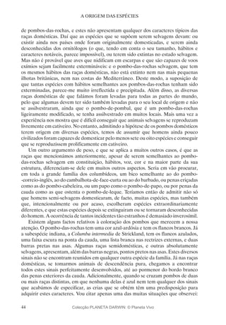 44
A ORIGEM DAS ESPÉCIES
de pombos-das-rochas, e estes não apresentam qualquer dos caracteres típicos das
raças domésticas. Daí que as espécies que se supõem serem selvagens devam: ou
existir ainda nos países onde foram originalmente domesticadas, e serem ainda
desconhecidas dos ornitólogos (o que, tendo em conta o seu tamanho, hábitos e
caracteres notáveis, parece impossível), ou terem sido extintas no estado selvagem.
Mas não é provável que aves que nidificam em escarpas e que são capazes de voos
exímios sejam facilmente extermináveis: e o pombo-das-rochas selvagem, que tem
os mesmos hábitos das raças domésticas, não está extinto nem nas mais pequenas
ilhotas britânicas, nem nas costas do Mediterrâneo. Deste modo, a suposição de
que tantas espécies com hábitos semelhantes aos pombos-das-rochas tenham sido
exterminadas, parece-me muito irreflectida e precipitada. Além disso, as diversas
raças domésticas de que falámos foram levadas para todas as partes do mundo,
pelo que algumas devem ter sido também levadas para o seu local de origem e não
se assilvestraram, ainda que o pombo-de-pombal, que é um pombo-das-rochas
ligeiramente modificado, se tenha assilvestrado em muitos locais. Mais uma vez a
experiência nos mostra que é difícil conseguir que animais selvagens se reproduzam
livremente em cativeiro. No entanto, admitindo a hipótese de os pombos domésticos
terem origem em diversas espécies, temos de assumir que homens ainda pouco
civilizados foram capazes de domesticar pelo menos sete ou oito espécies e conseguir
que se reproduzissem prolificamente em cativeiro.
Um outro argumento de peso, e que se aplica a muitos outros casos, é que as
raças que mencionámos anteriormente, apesar de serem semelhantes ao pombo-
das-rochas selvagem em constituição, hábitos, voz, cor e na maior parte da sua
estrutura, diferenciam-se dele em muitos outros aspectos. Seria em vão procurar,
em toda a grande família dos columbídeos, um bico semelhante ao do pombo-
-correio-inglês, ao do cambalhota-de-face-curta ou ao do barbado, ou penas eriçadas
como as do pombo-cabeleira, ou um papo como o pombo-de-papo, ou por penas da
cauda como as que ostenta o pombo-de-leque. Teríamos então de admitir não só
que homens semi-selvagens domesticaram, de facto, muitas espécies, mas também
que, intencionalmente ou por acaso, escolheram espécies extraordinariamente
diferentes, e que estas espécies depois se extinguiram ou se tornaram desconhecidas
do homem. A ocorrência de tantos incidentes tão estranhos é demasiado inverosímil.
Existem alguns factos relativos à coloração dos pombos que merecem a nossa
atenção. O pombo-das-rochas tem uma cor azul-ardósia e tem os flancos brancos. Já
a subespécie indiana, a Columba intermedia de Strickland, tem os flancos azulados,
uma faixa escura na ponta da cauda, uma lista branca nas rectrizes externas, e duas
barras pretas nas asas. Algumas raças semidomésticas, e outras absolutamente
selvagens, apresentam, além das barras negras, pontos pretos nas asas. Estes diversos
sinais não se encontram reunidos em qualquer outra espécie da família. Já nas raças
domésticas, se tomarmos animais de descendência pura, chegamos a encontrar
todos estes sinais perfeitamente desenvolvidos, até ao pormenor do bordo branco
das penas exteriores da cauda. Adicionalmente, quando se cruzam pombos de duas
ou mais raças distintas, em que nenhuma delas é azul nem tem qualquer dos sinais
que acabámos de especificar, as crias que se obtém têm uma predisposição para
adquirir estes caracteres. Vou citar apenas uma das muitas situações que observei:
Colecção PLANETA DARWIN: © Planeta Vivo
 
