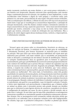54
A ORIGEM DAS ESPÉCIES
muito raramente receberão um nome distinto, e, por serem pouco valorizados, a
sua história será desprezada. Quando estiverem mais aperfeiçoados, pelo mesmo
longo e continuado processo de selecção, vão espalhar-se mais amplamente, e serão
reconhecidas como distintas e dignas de valor próprio, e receberão então, pela
primeira vez, um nome, provavelmente de uma região. Em países menos civilizados,
onde as comunicações são difíceis, a difusão de uma nova sub-raça será um processo
muito lento. Logo que se reconheçam as características importantes, o princípio de
selecção inconsciente, como lhe chamei, tenderá sempre a lentamente aumentar os
traços característicos da raça, sejam eles quais forem – talvez mais num determinado
período que noutro, consoante a raça esteja ou não na moda; talvez mais numa
região que noutras, consoante o estado de civilização dos seus habitantes. Mas a
hipótese de existir algum registo dessas mudanças lentas, variáveis, e imperceptíveis,
é infinitamente reduzida.
CIRCUNSTÂNCIAS FAVORÁVEIS AO PODER DE SELECÇÃO
DO HOMEM
Versarei agora um pouco sobre as circunstâncias, favoráveis ou adversas, ao
poder de selecção do homem. A existência de um elevado grau de variabilidade
é obviamente favorável, pois fornece livremente os materiais para se trabalhar
na selecção. Não quer dizer que meras diferenças individuais não sejam mais que
suficientes para permitir, com sumo cuidado, que se encaminhe em praticamente
todas as direcções a acumulação de um número elevado de modificações. Todavia,
as variações manifestamente úteis ou agradáveis para os homens só aparecem
ocasionalmente,peloqueaprobabilidadedeocorreremaumentaproporcionalmente
com o número de indivíduos que se possui. Daí que o número de espécimes seja um
factor de sucesso extremamente relevante. Segundo este princípio, William Marshal
referiu, a respeito das ovelhas de certas zonas de Yorkshire, que “estes animais,
como costumam pertencer a pessoas pobres, que por norma têm rebanhos pequenos,
não podem ser melhorados”. Por outro lado, os horticultores, como têm grandes
quantidades de espécimes da mesma planta, são frequentemente mais bem sucedidos
que os amadores na obtenção de variáveis novas e úteis. Para criar ou cultivar um
grande número de animais ou plantas é necessário que existam condições favoráveis
à sua propagação. Quando o número de indivíduos é reduzido, permite-se que todos
se reproduzam, seja qual for a sua qualidade, o que irá impedir a selecção. Contudo,
o factor mais importante será provavelmente a importância que o homem atribui
ao animal ou planta, pois é necessário prestar uma grande atenção aos detalhes
para que se detectem os mais ligeiros desvios de caracteres, susceptíveis de afectar
a configuração do espécime em causa. Se não se prestar a devida atenção, não se
pode fazer a selecção. Já ouvi dizer que foi uma feliz coincidência os morangueiros
começarem a modificar-se exactamente quando os jardineiros começaram a prestar-
lhes atenção. Ora os morangueiros terão certamente sofrido alterações desde que
começaram a ser cultivados, mas as pequenas variações terão sido negligenciadas.
No entanto, logo que os jardineiros começaram a escolher as plantas que davam
Colecção PLANETA DARWIN: © Planeta Vivo
 