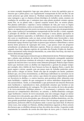 96
A ORIGEM DAS ESPÉCIES
ao nosso exemplo imaginário: logo que uma planta se torna tão apelativa para os
insectos que o pólen passa a ser regularmente transportado de flor em flor, há um
outro processo que pode iniciar-se. Nenhum naturalista duvida da existência de
uma vantagem a que se chamou divisão fisiológica do trabalho; assim, estamos em
condições de acreditar que é vantajoso para uma planta produzir estames apenas
numa flor, ou na planta toda, e apenas carpelos noutra flor, ou noutra planta.
Nas plantas cultivadas e expostas a novas condições de vida, por vezes os órgãos
reprodutores femininos, outras os masculinos, tornam-se mais ou menos impotentes.
Agora, se supusermos que isto ocorre na natureza, mesmo que seja em pequeníssimo
grau, como o pólen já é normalmente transportado de flor em flor, e como, segundo
o princípio da divisão do trabalho, seria vantajoso à nossa planta apresentar os
órgãos reprodutores separados, os indivíduos em que esta tendência de separação
dos sexos se manifestasse cada vez mais seriam também mais favorecidos e mais
seleccionados, até que a separação total dos sexos estivesse completa. Tomar-nos-ia
demasiado espaço mostrar aqui todos os passos (que incluem o dimorfismo e outros
meios) deste processo de separação dos sexos, e que parece estar em progresso
actualmente em plantas de diferentes espécies. Posso no entanto acrescentar que,
segundo Asa Gray, algumas espécies de azevinho dos Estados Unidos da América
estão exactamente numa situação intermédia, ou, como diria Asa Gray, são mais ou
menos dioicamente polígamas.
Voltemo-nosagoraparaosinsectosquesealimentamdenéctar.Podemosimaginar
que a planta cuja produção de néctar tivermos lentamente conseguido aumentar
através de um processo contínuo de selecção é uma planta comum, e que algumas
espécies de insectos têm o seu néctar como alimento principal. Poderia expor muitos
factos que mostram como as abelhas são impacientes e gostam de poupar tempo:
por exemplo, têm o hábito de fazer buracos na base de algumas flores, a partir dos
quais sugam o néctar, quando com um pouco mais de trabalho poderiam entrar
pela corola e chegar ao néctar. Tendo este tipo de exemplos em mente, podemos
deduzir que, em certas circunstâncias, as diferenças individuais na curvatura ou no
comprimento da trompa, entre outras a que damos tão pouca importância, podem
ser favoráveis às abelhas, e a outros insectos, pois permitem obter alimentos com
mais facilidade e rapidez do que conseguem os outros indivíduos desprovidos de
tais características. Assim, as comunidades a que pertencem tais insectos florescem
mais facilmente e reproduzem-se mais, produzindo enxames que herdam as tais
peculiaridades portadoras de vantagens. Os tubos das corolas do trevo-dos-prados
e do trevo-encarnado (Trifolium pratense e T. incarnatum), à primeira vista, não
parecem ter comprimentos diferentes; no entanto, a abelha-doméstica consegue
sugar facilmente o néctar do trevo-encarnado, mas não consegue chegar ao néctar
do comum trevo-dos-prados, que aliás só é visitado por abelhões. Assim, há campos
inteiros, cheios de trevos-dos-prados, que oferecem às abelhas-domésticas, em vão,
uma grande quantidade daquele precioso néctar. Em vão porque, apesar de muito o
apreciarem, preferem colhê-lo em plantas onde o acesso seja mais fácil. Já observei
várias vezes, mas sempre no Outono, abelhas-domésticas sugarem as flores através
dos buracos que os abelhões deixam na base dos tubos das corolas. A questão reside
exactamente no tamanho da corola dos dois tipos de trevo, pois é o facto de esta
Colecção PLANETA DARWIN: © Planeta Vivo
 