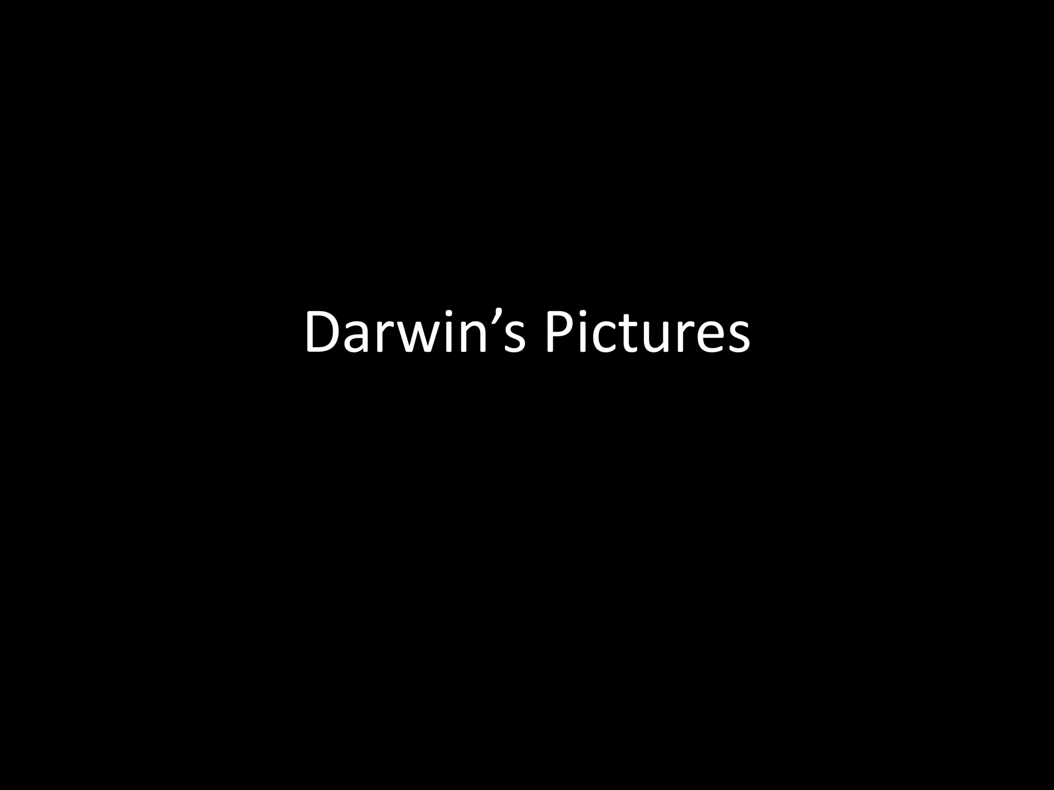 Darwin’s Pictures