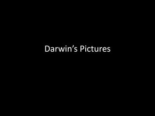Darwin’s Pictures 