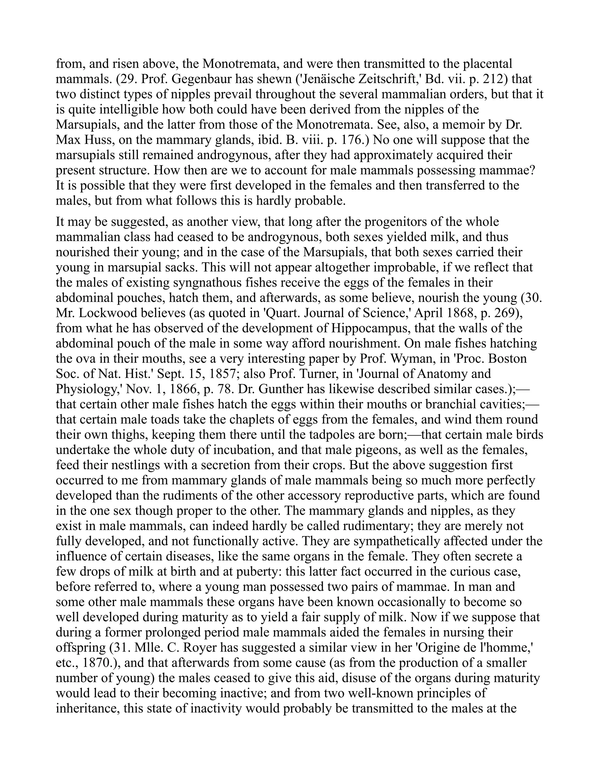 from, and risen above, the Monotremata, and were then transmitted to the placental
mammals. (29. Prof. Gegenbaur has shewn ('Jenäische Zeitschrift,' Bd. vii. p. 212) that
two distinct types of nipples prevail throughout the several mammalian orders, but that it
is quite intelligible how both could have been derived from the nipples of the
Marsupials, and the latter from those of the Monotremata. See, also, a memoir by Dr.
Max Huss, on the mammary glands, ibid. B. viii. p. 176.) No one will suppose that the
marsupials still remained androgynous, after they had approximately acquired their
present structure. How then are we to account for male mammals possessing mammae?
It is possible that they were first developed in the females and then transferred to the
males, but from what follows this is hardly probable.
It may be suggested, as another view, that long after the progenitors of the whole
mammalian class had ceased to be androgynous, both sexes yielded milk, and thus
nourished their young; and in the case of the Marsupials, that both sexes carried their
young in marsupial sacks. This will not appear altogether improbable, if we reflect that
the males of existing syngnathous fishes receive the eggs of the females in their
abdominal pouches, hatch them, and afterwards, as some believe, nourish the young (30.
Mr. Lockwood believes (as quoted in 'Quart. Journal of Science,' April 1868, p. 269),
from what he has observed of the development of Hippocampus, that the walls of the
abdominal pouch of the male in some way afford nourishment. On male fishes hatching
the ova in their mouths, see a very interesting paper by Prof. Wyman, in 'Proc. Boston
Soc. of Nat. Hist.' Sept. 15, 1857; also Prof. Turner, in 'Journal of Anatomy and
Physiology,' Nov. 1, 1866, p. 78. Dr. Gunther has likewise described similar cases.);—
that certain other male fishes hatch the eggs within their mouths or branchial cavities;—
that certain male toads take the chaplets of eggs from the females, and wind them round
their own thighs, keeping them there until the tadpoles are born;—that certain male birds
undertake the whole duty of incubation, and that male pigeons, as well as the females,
feed their nestlings with a secretion from their crops. But the above suggestion first
occurred to me from mammary glands of male mammals being so much more perfectly
developed than the rudiments of the other accessory reproductive parts, which are found
in the one sex though proper to the other. The mammary glands and nipples, as they
exist in male mammals, can indeed hardly be called rudimentary; they are merely not
fully developed, and not functionally active. They are sympathetically affected under the
influence of certain diseases, like the same organs in the female. They often secrete a
few drops of milk at birth and at puberty: this latter fact occurred in the curious case,
before referred to, where a young man possessed two pairs of mammae. In man and
some other male mammals these organs have been known occasionally to become so
well developed during maturity as to yield a fair supply of milk. Now if we suppose that
during a former prolonged period male mammals aided the females in nursing their
offspring (31. Mlle. C. Royer has suggested a similar view in her 'Origine de l'homme,'
etc., 1870.), and that afterwards from some cause (as from the production of a smaller
number of young) the males ceased to give this aid, disuse of the organs during maturity
would lead to their becoming inactive; and from two well-known principles of
inheritance, this state of inactivity would probably be transmitted to the males at the
 