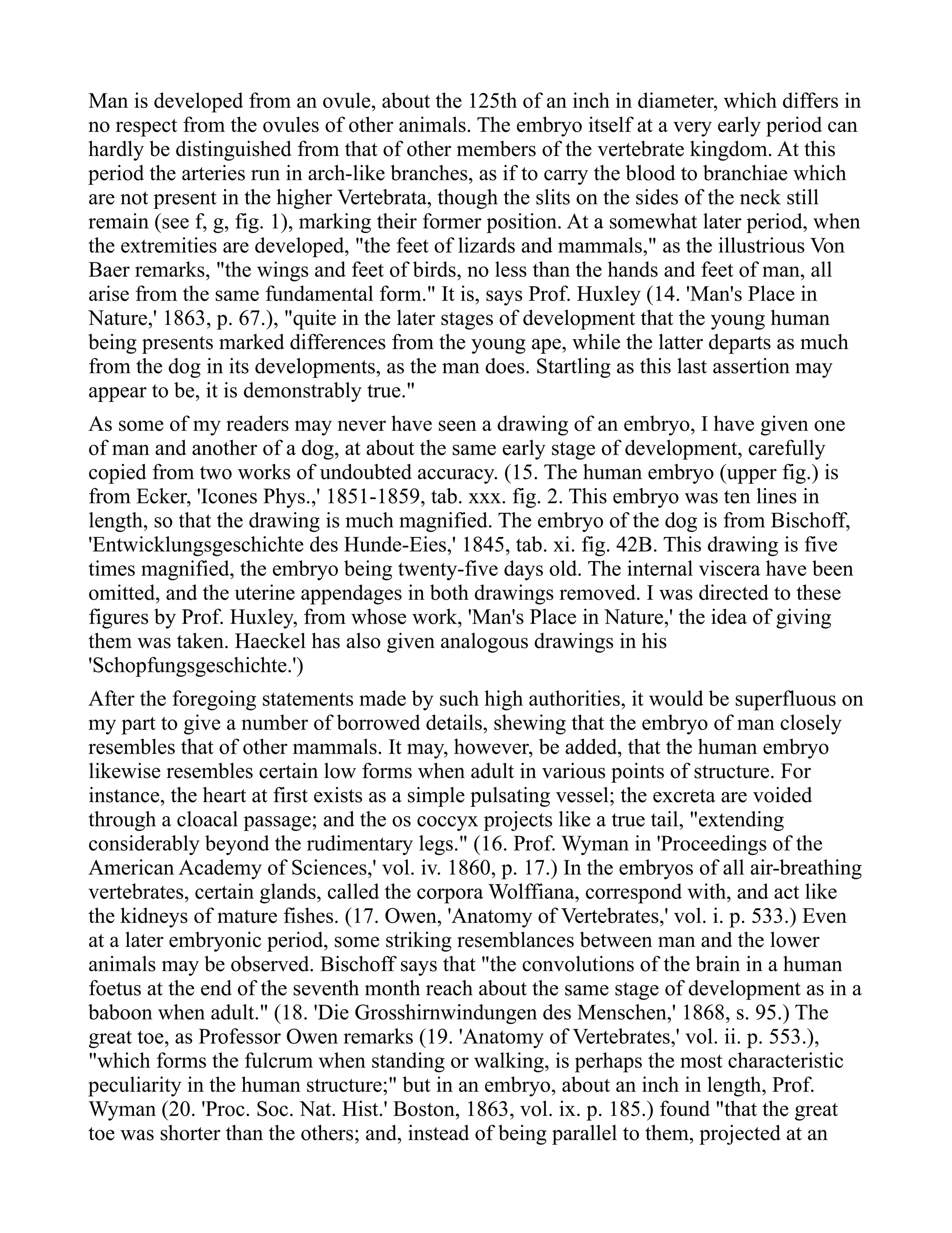 Man is developed from an ovule, about the 125th of an inch in diameter, which differs in
no respect from the ovules of other animals. The embryo itself at a very early period can
hardly be distinguished from that of other members of the vertebrate kingdom. At this
period the arteries run in arch-like branches, as if to carry the blood to branchiae which
are not present in the higher Vertebrata, though the slits on the sides of the neck still
remain (see f, g, fig. 1), marking their former position. At a somewhat later period, when
the extremities are developed, "the feet of lizards and mammals," as the illustrious Von
Baer remarks, "the wings and feet of birds, no less than the hands and feet of man, all
arise from the same fundamental form." It is, says Prof. Huxley (14. 'Man's Place in
Nature,' 1863, p. 67.), "quite in the later stages of development that the young human
being presents marked differences from the young ape, while the latter departs as much
from the dog in its developments, as the man does. Startling as this last assertion may
appear to be, it is demonstrably true."
As some of my readers may never have seen a drawing of an embryo, I have given one
of man and another of a dog, at about the same early stage of development, carefully
copied from two works of undoubted accuracy. (15. The human embryo (upper fig.) is
from Ecker, 'Icones Phys.,' 1851-1859, tab. xxx. fig. 2. This embryo was ten lines in
length, so that the drawing is much magnified. The embryo of the dog is from Bischoff,
'Entwicklungsgeschichte des Hunde-Eies,' 1845, tab. xi. fig. 42B. This drawing is five
times magnified, the embryo being twenty-five days old. The internal viscera have been
omitted, and the uterine appendages in both drawings removed. I was directed to these
figures by Prof. Huxley, from whose work, 'Man's Place in Nature,' the idea of giving
them was taken. Haeckel has also given analogous drawings in his
'Schopfungsgeschichte.')
After the foregoing statements made by such high authorities, it would be superfluous on
my part to give a number of borrowed details, shewing that the embryo of man closely
resembles that of other mammals. It may, however, be added, that the human embryo
likewise resembles certain low forms when adult in various points of structure. For
instance, the heart at first exists as a simple pulsating vessel; the excreta are voided
through a cloacal passage; and the os coccyx projects like a true tail, "extending
considerably beyond the rudimentary legs." (16. Prof. Wyman in 'Proceedings of the
American Academy of Sciences,' vol. iv. 1860, p. 17.) In the embryos of all air-breathing
vertebrates, certain glands, called the corpora Wolffiana, correspond with, and act like
the kidneys of mature fishes. (17. Owen, 'Anatomy of Vertebrates,' vol. i. p. 533.) Even
at a later embryonic period, some striking resemblances between man and the lower
animals may be observed. Bischoff says that "the convolutions of the brain in a human
foetus at the end of the seventh month reach about the same stage of development as in a
baboon when adult." (18. 'Die Grosshirnwindungen des Menschen,' 1868, s. 95.) The
great toe, as Professor Owen remarks (19. 'Anatomy of Vertebrates,' vol. ii. p. 553.),
"which forms the fulcrum when standing or walking, is perhaps the most characteristic
peculiarity in the human structure;" but in an embryo, about an inch in length, Prof.
Wyman (20. 'Proc. Soc. Nat. Hist.' Boston, 1863, vol. ix. p. 185.) found "that the great
toe was shorter than the others; and, instead of being parallel to them, projected at an
 