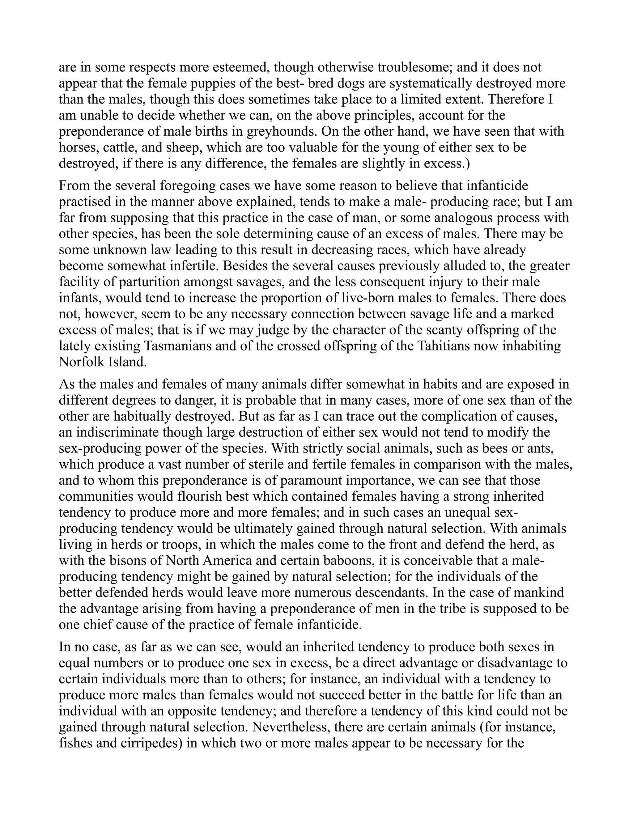 are in some respects more esteemed, though otherwise troublesome; and it does not
appear that the female puppies of the best- bred dogs are systematically destroyed more
than the males, though this does sometimes take place to a limited extent. Therefore I
am unable to decide whether we can, on the above principles, account for the
preponderance of male births in greyhounds. On the other hand, we have seen that with
horses, cattle, and sheep, which are too valuable for the young of either sex to be
destroyed, if there is any difference, the females are slightly in excess.)
From the several foregoing cases we have some reason to believe that infanticide
practised in the manner above explained, tends to make a male- producing race; but I am
far from supposing that this practice in the case of man, or some analogous process with
other species, has been the sole determining cause of an excess of males. There may be
some unknown law leading to this result in decreasing races, which have already
become somewhat infertile. Besides the several causes previously alluded to, the greater
facility of parturition amongst savages, and the less consequent injury to their male
infants, would tend to increase the proportion of live-born males to females. There does
not, however, seem to be any necessary connection between savage life and a marked
excess of males; that is if we may judge by the character of the scanty offspring of the
lately existing Tasmanians and of the crossed offspring of the Tahitians now inhabiting
Norfolk Island.
As the males and females of many animals differ somewhat in habits and are exposed in
different degrees to danger, it is probable that in many cases, more of one sex than of the
other are habitually destroyed. But as far as I can trace out the complication of causes,
an indiscriminate though large destruction of either sex would not tend to modify the
sex-producing power of the species. With strictly social animals, such as bees or ants,
which produce a vast number of sterile and fertile females in comparison with the males,
and to whom this preponderance is of paramount importance, we can see that those
communities would flourish best which contained females having a strong inherited
tendency to produce more and more females; and in such cases an unequal sex-
producing tendency would be ultimately gained through natural selection. With animals
living in herds or troops, in which the males come to the front and defend the herd, as
with the bisons of North America and certain baboons, it is conceivable that a male-
producing tendency might be gained by natural selection; for the individuals of the
better defended herds would leave more numerous descendants. In the case of mankind
the advantage arising from having a preponderance of men in the tribe is supposed to be
one chief cause of the practice of female infanticide.
In no case, as far as we can see, would an inherited tendency to produce both sexes in
equal numbers or to produce one sex in excess, be a direct advantage or disadvantage to
certain individuals more than to others; for instance, an individual with a tendency to
produce more males than females would not succeed better in the battle for life than an
individual with an opposite tendency; and therefore a tendency of this kind could not be
gained through natural selection. Nevertheless, there are certain animals (for instance,
fishes and cirripedes) in which two or more males appear to be necessary for the
 