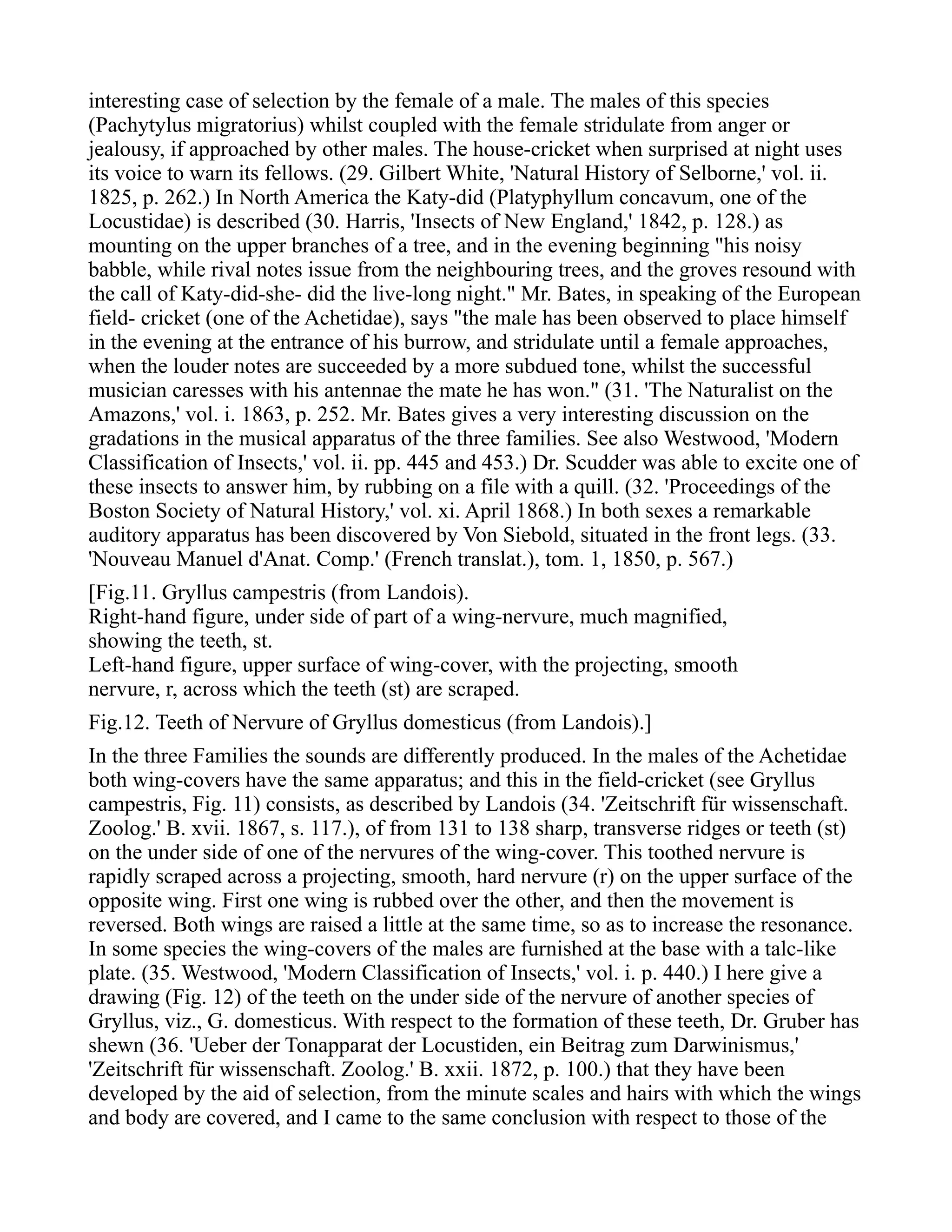 interesting case of selection by the female of a male. The males of this species
(Pachytylus migratorius) whilst coupled with the female stridulate from anger or
jealousy, if approached by other males. The house-cricket when surprised at night uses
its voice to warn its fellows. (29. Gilbert White, 'Natural History of Selborne,' vol. ii.
1825, p. 262.) In North America the Katy-did (Platyphyllum concavum, one of the
Locustidae) is described (30. Harris, 'Insects of New England,' 1842, p. 128.) as
mounting on the upper branches of a tree, and in the evening beginning "his noisy
babble, while rival notes issue from the neighbouring trees, and the groves resound with
the call of Katy-did-she- did the live-long night." Mr. Bates, in speaking of the European
field- cricket (one of the Achetidae), says "the male has been observed to place himself
in the evening at the entrance of his burrow, and stridulate until a female approaches,
when the louder notes are succeeded by a more subdued tone, whilst the successful
musician caresses with his antennae the mate he has won." (31. 'The Naturalist on the
Amazons,' vol. i. 1863, p. 252. Mr. Bates gives a very interesting discussion on the
gradations in the musical apparatus of the three families. See also Westwood, 'Modern
Classification of Insects,' vol. ii. pp. 445 and 453.) Dr. Scudder was able to excite one of
these insects to answer him, by rubbing on a file with a quill. (32. 'Proceedings of the
Boston Society of Natural History,' vol. xi. April 1868.) In both sexes a remarkable
auditory apparatus has been discovered by Von Siebold, situated in the front legs. (33.
'Nouveau Manuel d'Anat. Comp.' (French translat.), tom. 1, 1850, p. 567.)
[Fig.11. Gryllus campestris (from Landois).
Right-hand figure, under side of part of a wing-nervure, much magnified,
showing the teeth, st.
Left-hand figure, upper surface of wing-cover, with the projecting, smooth
nervure, r, across which the teeth (st) are scraped.
Fig.12. Teeth of Nervure of Gryllus domesticus (from Landois).]
In the three Families the sounds are differently produced. In the males of the Achetidae
both wing-covers have the same apparatus; and this in the field-cricket (see Gryllus
campestris, Fig. 11) consists, as described by Landois (34. 'Zeitschrift für wissenschaft.
Zoolog.' B. xvii. 1867, s. 117.), of from 131 to 138 sharp, transverse ridges or teeth (st)
on the under side of one of the nervures of the wing-cover. This toothed nervure is
rapidly scraped across a projecting, smooth, hard nervure (r) on the upper surface of the
opposite wing. First one wing is rubbed over the other, and then the movement is
reversed. Both wings are raised a little at the same time, so as to increase the resonance.
In some species the wing-covers of the males are furnished at the base with a talc-like
plate. (35. Westwood, 'Modern Classification of Insects,' vol. i. p. 440.) I here give a
drawing (Fig. 12) of the teeth on the under side of the nervure of another species of
Gryllus, viz., G. domesticus. With respect to the formation of these teeth, Dr. Gruber has
shewn (36. 'Ueber der Tonapparat der Locustiden, ein Beitrag zum Darwinismus,'
'Zeitschrift für wissenschaft. Zoolog.' B. xxii. 1872, p. 100.) that they have been
developed by the aid of selection, from the minute scales and hairs with which the wings
and body are covered, and I came to the same conclusion with respect to those of the
 