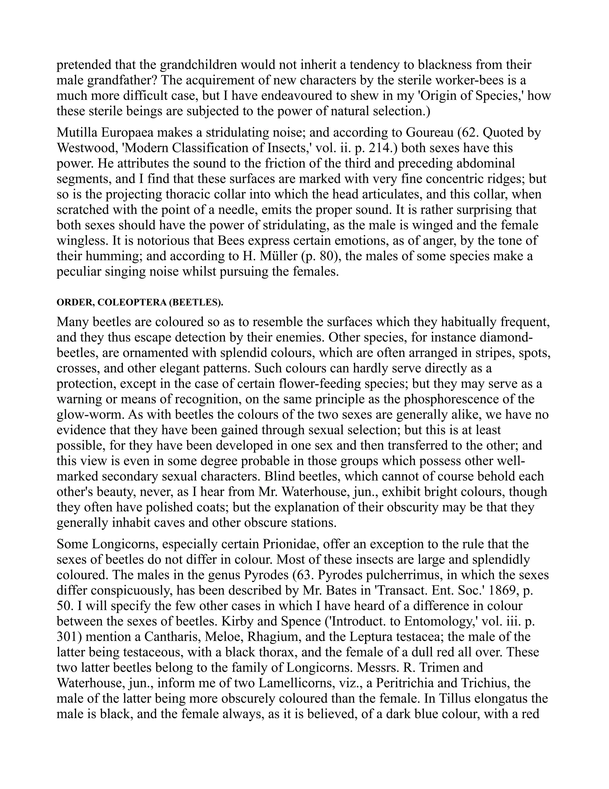 pretended that the grandchildren would not inherit a tendency to blackness from their
male grandfather? The acquirement of new characters by the sterile worker-bees is a
much more difficult case, but I have endeavoured to shew in my 'Origin of Species,' how
these sterile beings are subjected to the power of natural selection.)
Mutilla Europaea makes a stridulating noise; and according to Goureau (62. Quoted by
Westwood, 'Modern Classification of Insects,' vol. ii. p. 214.) both sexes have this
power. He attributes the sound to the friction of the third and preceding abdominal
segments, and I find that these surfaces are marked with very fine concentric ridges; but
so is the projecting thoracic collar into which the head articulates, and this collar, when
scratched with the point of a needle, emits the proper sound. It is rather surprising that
both sexes should have the power of stridulating, as the male is winged and the female
wingless. It is notorious that Bees express certain emotions, as of anger, by the tone of
their humming; and according to H. Müller (p. 80), the males of some species make a
peculiar singing noise whilst pursuing the females.
ORDER, COLEOPTERA (BEETLES).
Many beetles are coloured so as to resemble the surfaces which they habitually frequent,
and they thus escape detection by their enemies. Other species, for instance diamond-
beetles, are ornamented with splendid colours, which are often arranged in stripes, spots,
crosses, and other elegant patterns. Such colours can hardly serve directly as a
protection, except in the case of certain flower-feeding species; but they may serve as a
warning or means of recognition, on the same principle as the phosphorescence of the
glow-worm. As with beetles the colours of the two sexes are generally alike, we have no
evidence that they have been gained through sexual selection; but this is at least
possible, for they have been developed in one sex and then transferred to the other; and
this view is even in some degree probable in those groups which possess other well-
marked secondary sexual characters. Blind beetles, which cannot of course behold each
other's beauty, never, as I hear from Mr. Waterhouse, jun., exhibit bright colours, though
they often have polished coats; but the explanation of their obscurity may be that they
generally inhabit caves and other obscure stations.
Some Longicorns, especially certain Prionidae, offer an exception to the rule that the
sexes of beetles do not differ in colour. Most of these insects are large and splendidly
coloured. The males in the genus Pyrodes (63. Pyrodes pulcherrimus, in which the sexes
differ conspicuously, has been described by Mr. Bates in 'Transact. Ent. Soc.' 1869, p.
50. I will specify the few other cases in which I have heard of a difference in colour
between the sexes of beetles. Kirby and Spence ('Introduct. to Entomology,' vol. iii. p.
301) mention a Cantharis, Meloe, Rhagium, and the Leptura testacea; the male of the
latter being testaceous, with a black thorax, and the female of a dull red all over. These
two latter beetles belong to the family of Longicorns. Messrs. R. Trimen and
Waterhouse, jun., inform me of two Lamellicorns, viz., a Peritrichia and Trichius, the
male of the latter being more obscurely coloured than the female. In Tillus elongatus the
male is black, and the female always, as it is believed, of a dark blue colour, with a red
 