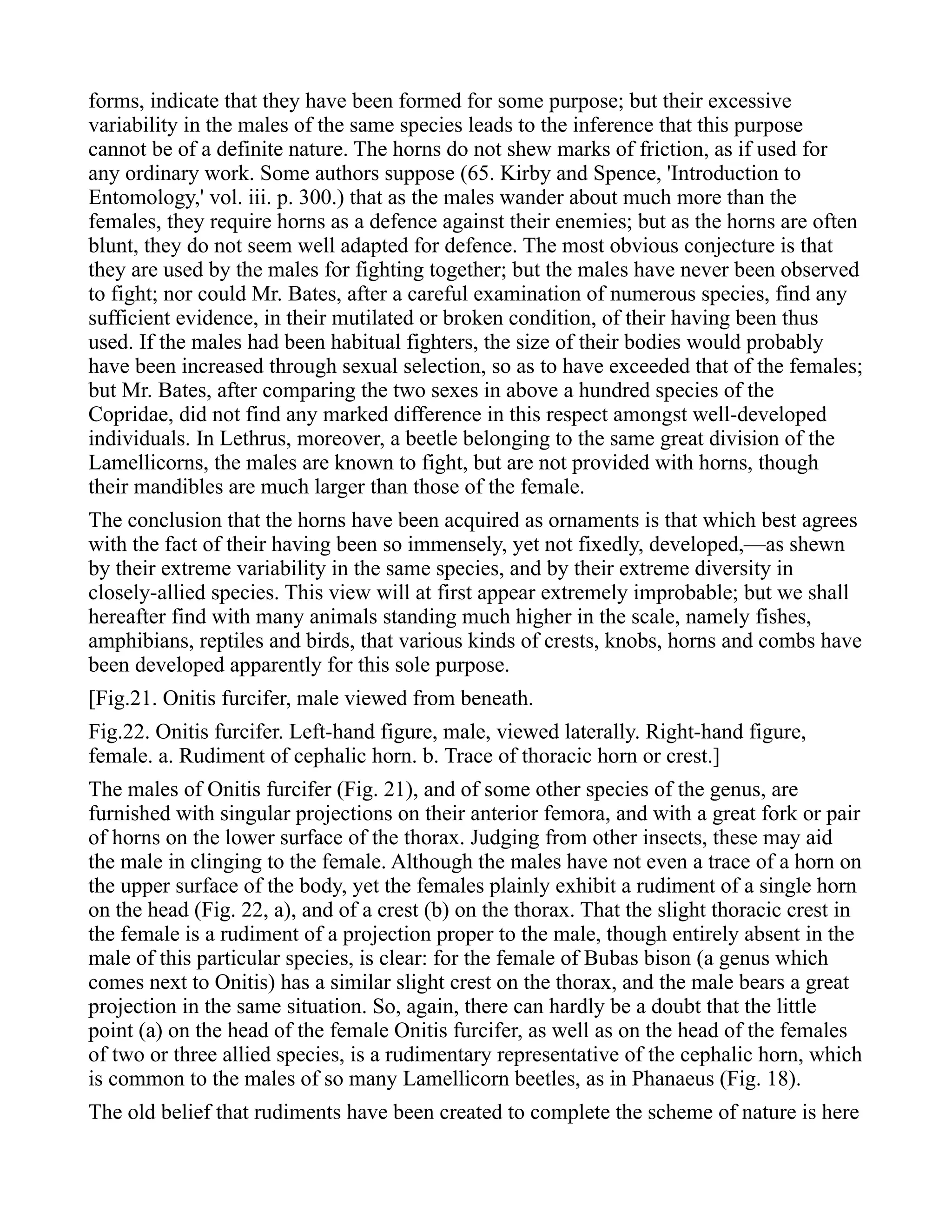 forms, indicate that they have been formed for some purpose; but their excessive
variability in the males of the same species leads to the inference that this purpose
cannot be of a definite nature. The horns do not shew marks of friction, as if used for
any ordinary work. Some authors suppose (65. Kirby and Spence, 'Introduction to
Entomology,' vol. iii. p. 300.) that as the males wander about much more than the
females, they require horns as a defence against their enemies; but as the horns are often
blunt, they do not seem well adapted for defence. The most obvious conjecture is that
they are used by the males for fighting together; but the males have never been observed
to fight; nor could Mr. Bates, after a careful examination of numerous species, find any
sufficient evidence, in their mutilated or broken condition, of their having been thus
used. If the males had been habitual fighters, the size of their bodies would probably
have been increased through sexual selection, so as to have exceeded that of the females;
but Mr. Bates, after comparing the two sexes in above a hundred species of the
Copridae, did not find any marked difference in this respect amongst well-developed
individuals. In Lethrus, moreover, a beetle belonging to the same great division of the
Lamellicorns, the males are known to fight, but are not provided with horns, though
their mandibles are much larger than those of the female.
The conclusion that the horns have been acquired as ornaments is that which best agrees
with the fact of their having been so immensely, yet not fixedly, developed,—as shewn
by their extreme variability in the same species, and by their extreme diversity in
closely-allied species. This view will at first appear extremely improbable; but we shall
hereafter find with many animals standing much higher in the scale, namely fishes,
amphibians, reptiles and birds, that various kinds of crests, knobs, horns and combs have
been developed apparently for this sole purpose.
[Fig.21. Onitis furcifer, male viewed from beneath.
Fig.22. Onitis furcifer. Left-hand figure, male, viewed laterally. Right-hand figure,
female. a. Rudiment of cephalic horn. b. Trace of thoracic horn or crest.]
The males of Onitis furcifer (Fig. 21), and of some other species of the genus, are
furnished with singular projections on their anterior femora, and with a great fork or pair
of horns on the lower surface of the thorax. Judging from other insects, these may aid
the male in clinging to the female. Although the males have not even a trace of a horn on
the upper surface of the body, yet the females plainly exhibit a rudiment of a single horn
on the head (Fig. 22, a), and of a crest (b) on the thorax. That the slight thoracic crest in
the female is a rudiment of a projection proper to the male, though entirely absent in the
male of this particular species, is clear: for the female of Bubas bison (a genus which
comes next to Onitis) has a similar slight crest on the thorax, and the male bears a great
projection in the same situation. So, again, there can hardly be a doubt that the little
point (a) on the head of the female Onitis furcifer, as well as on the head of the females
of two or three allied species, is a rudimentary representative of the cephalic horn, which
is common to the males of so many Lamellicorn beetles, as in Phanaeus (Fig. 18).
The old belief that rudiments have been created to complete the scheme of nature is here
 