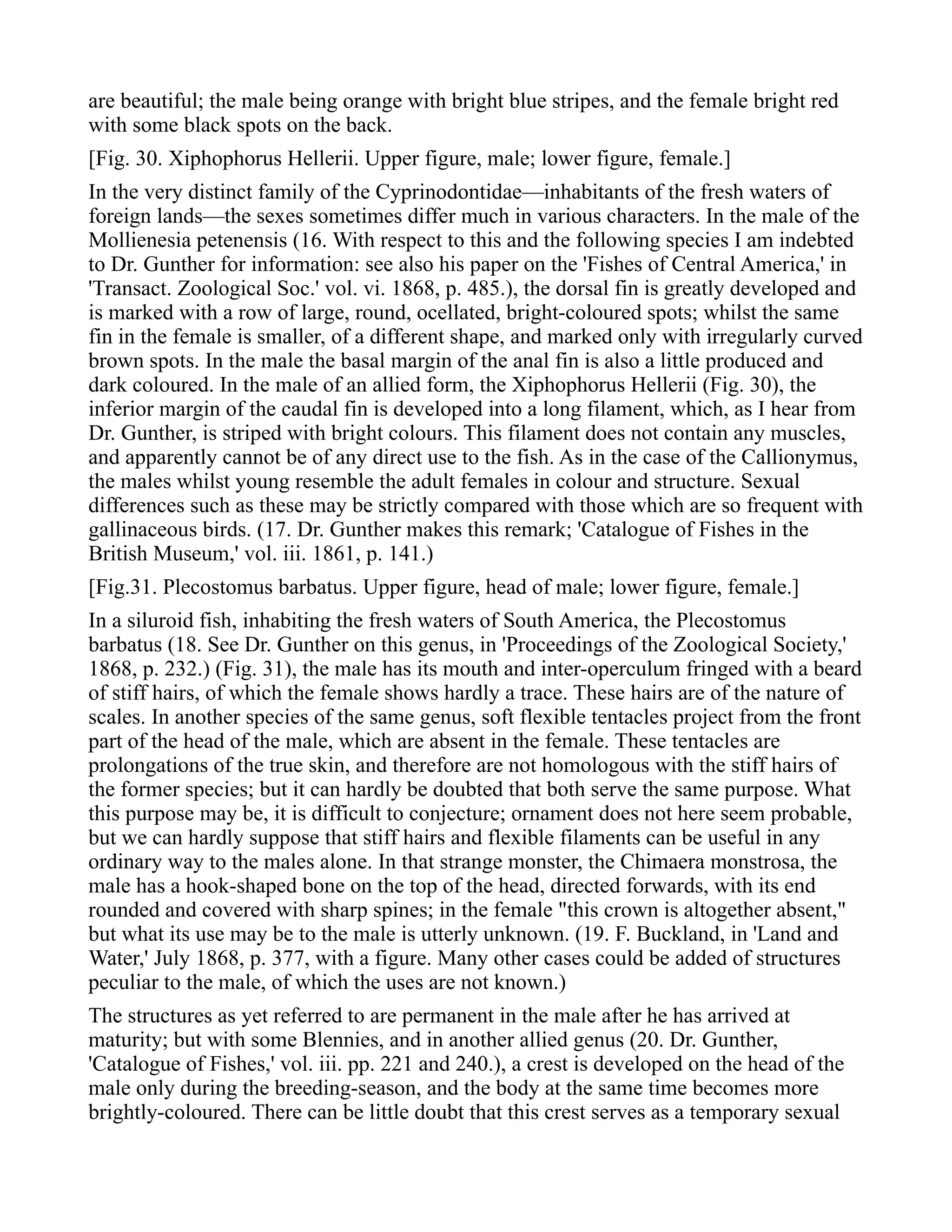 are beautiful; the male being orange with bright blue stripes, and the female bright red
with some black spots on the back.
[Fig. 30. Xiphophorus Hellerii. Upper figure, male; lower figure, female.]
In the very distinct family of the Cyprinodontidae—inhabitants of the fresh waters of
foreign lands—the sexes sometimes differ much in various characters. In the male of the
Mollienesia petenensis (16. With respect to this and the following species I am indebted
to Dr. Gunther for information: see also his paper on the 'Fishes of Central America,' in
'Transact. Zoological Soc.' vol. vi. 1868, p. 485.), the dorsal fin is greatly developed and
is marked with a row of large, round, ocellated, bright-coloured spots; whilst the same
fin in the female is smaller, of a different shape, and marked only with irregularly curved
brown spots. In the male the basal margin of the anal fin is also a little produced and
dark coloured. In the male of an allied form, the Xiphophorus Hellerii (Fig. 30), the
inferior margin of the caudal fin is developed into a long filament, which, as I hear from
Dr. Gunther, is striped with bright colours. This filament does not contain any muscles,
and apparently cannot be of any direct use to the fish. As in the case of the Callionymus,
the males whilst young resemble the adult females in colour and structure. Sexual
differences such as these may be strictly compared with those which are so frequent with
gallinaceous birds. (17. Dr. Gunther makes this remark; 'Catalogue of Fishes in the
British Museum,' vol. iii. 1861, p. 141.)
[Fig.31. Plecostomus barbatus. Upper figure, head of male; lower figure, female.]
In a siluroid fish, inhabiting the fresh waters of South America, the Plecostomus
barbatus (18. See Dr. Gunther on this genus, in 'Proceedings of the Zoological Society,'
1868, p. 232.) (Fig. 31), the male has its mouth and inter-operculum fringed with a beard
of stiff hairs, of which the female shows hardly a trace. These hairs are of the nature of
scales. In another species of the same genus, soft flexible tentacles project from the front
part of the head of the male, which are absent in the female. These tentacles are
prolongations of the true skin, and therefore are not homologous with the stiff hairs of
the former species; but it can hardly be doubted that both serve the same purpose. What
this purpose may be, it is difficult to conjecture; ornament does not here seem probable,
but we can hardly suppose that stiff hairs and flexible filaments can be useful in any
ordinary way to the males alone. In that strange monster, the Chimaera monstrosa, the
male has a hook-shaped bone on the top of the head, directed forwards, with its end
rounded and covered with sharp spines; in the female "this crown is altogether absent,"
but what its use may be to the male is utterly unknown. (19. F. Buckland, in 'Land and
Water,' July 1868, p. 377, with a figure. Many other cases could be added of structures
peculiar to the male, of which the uses are not known.)
The structures as yet referred to are permanent in the male after he has arrived at
maturity; but with some Blennies, and in another allied genus (20. Dr. Gunther,
'Catalogue of Fishes,' vol. iii. pp. 221 and 240.), a crest is developed on the head of the
male only during the breeding-season, and the body at the same time becomes more
brightly-coloured. There can be little doubt that this crest serves as a temporary sexual
 