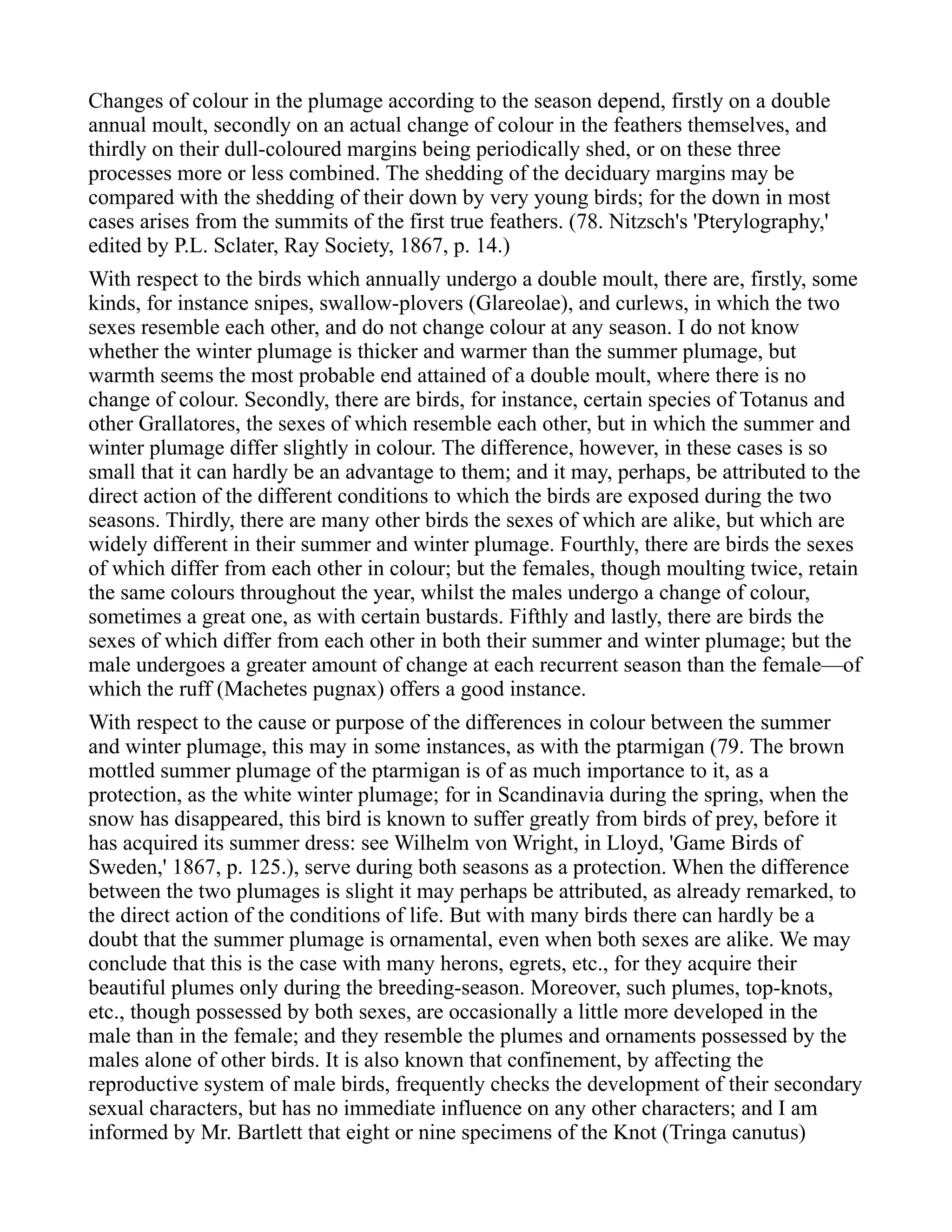 Changes of colour in the plumage according to the season depend, firstly on a double
annual moult, secondly on an actual change of colour in the feathers themselves, and
thirdly on their dull-coloured margins being periodically shed, or on these three
processes more or less combined. The shedding of the deciduary margins may be
compared with the shedding of their down by very young birds; for the down in most
cases arises from the summits of the first true feathers. (78. Nitzsch's 'Pterylography,'
edited by P.L. Sclater, Ray Society, 1867, p. 14.)
With respect to the birds which annually undergo a double moult, there are, firstly, some
kinds, for instance snipes, swallow-plovers (Glareolae), and curlews, in which the two
sexes resemble each other, and do not change colour at any season. I do not know
whether the winter plumage is thicker and warmer than the summer plumage, but
warmth seems the most probable end attained of a double moult, where there is no
change of colour. Secondly, there are birds, for instance, certain species of Totanus and
other Grallatores, the sexes of which resemble each other, but in which the summer and
winter plumage differ slightly in colour. The difference, however, in these cases is so
small that it can hardly be an advantage to them; and it may, perhaps, be attributed to the
direct action of the different conditions to which the birds are exposed during the two
seasons. Thirdly, there are many other birds the sexes of which are alike, but which are
widely different in their summer and winter plumage. Fourthly, there are birds the sexes
of which differ from each other in colour; but the females, though moulting twice, retain
the same colours throughout the year, whilst the males undergo a change of colour,
sometimes a great one, as with certain bustards. Fifthly and lastly, there are birds the
sexes of which differ from each other in both their summer and winter plumage; but the
male undergoes a greater amount of change at each recurrent season than the female—of
which the ruff (Machetes pugnax) offers a good instance.
With respect to the cause or purpose of the differences in colour between the summer
and winter plumage, this may in some instances, as with the ptarmigan (79. The brown
mottled summer plumage of the ptarmigan is of as much importance to it, as a
protection, as the white winter plumage; for in Scandinavia during the spring, when the
snow has disappeared, this bird is known to suffer greatly from birds of prey, before it
has acquired its summer dress: see Wilhelm von Wright, in Lloyd, 'Game Birds of
Sweden,' 1867, p. 125.), serve during both seasons as a protection. When the difference
between the two plumages is slight it may perhaps be attributed, as already remarked, to
the direct action of the conditions of life. But with many birds there can hardly be a
doubt that the summer plumage is ornamental, even when both sexes are alike. We may
conclude that this is the case with many herons, egrets, etc., for they acquire their
beautiful plumes only during the breeding-season. Moreover, such plumes, top-knots,
etc., though possessed by both sexes, are occasionally a little more developed in the
male than in the female; and they resemble the plumes and ornaments possessed by the
males alone of other birds. It is also known that confinement, by affecting the
reproductive system of male birds, frequently checks the development of their secondary
sexual characters, but has no immediate influence on any other characters; and I am
informed by Mr. Bartlett that eight or nine specimens of the Knot (Tringa canutus)
 