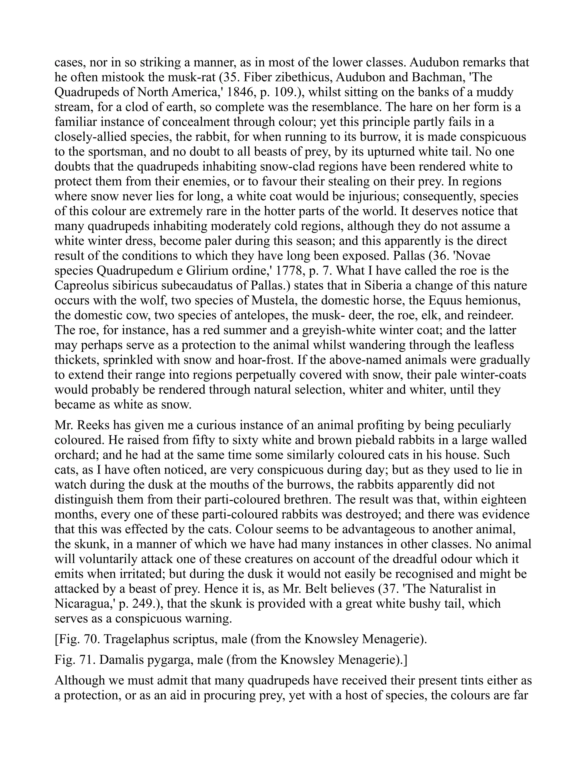 Charles Darwin - The Descent of Man