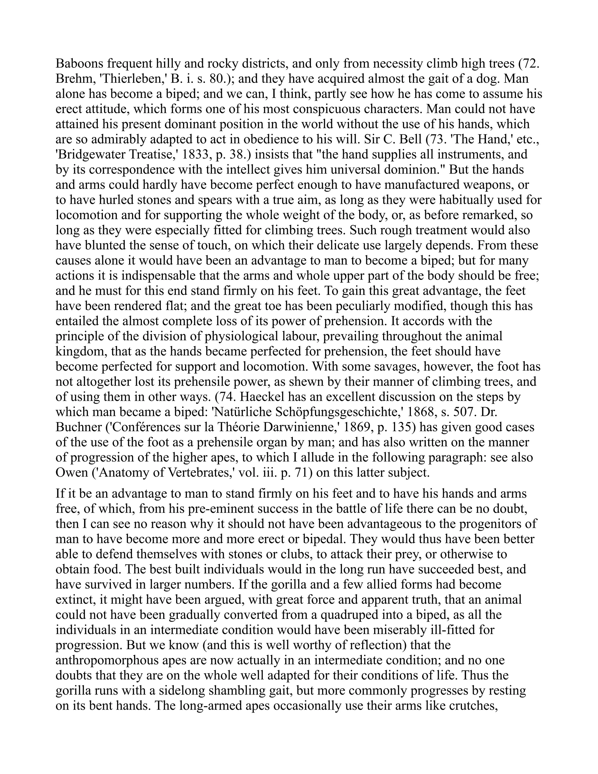 Baboons frequent hilly and rocky districts, and only from necessity climb high trees (72.
Brehm, 'Thierleben,' B. i. s. 80.); and they have acquired almost the gait of a dog. Man
alone has become a biped; and we can, I think, partly see how he has come to assume his
erect attitude, which forms one of his most conspicuous characters. Man could not have
attained his present dominant position in the world without the use of his hands, which
are so admirably adapted to act in obedience to his will. Sir C. Bell (73. 'The Hand,' etc.,
'Bridgewater Treatise,' 1833, p. 38.) insists that "the hand supplies all instruments, and
by its correspondence with the intellect gives him universal dominion." But the hands
and arms could hardly have become perfect enough to have manufactured weapons, or
to have hurled stones and spears with a true aim, as long as they were habitually used for
locomotion and for supporting the whole weight of the body, or, as before remarked, so
long as they were especially fitted for climbing trees. Such rough treatment would also
have blunted the sense of touch, on which their delicate use largely depends. From these
causes alone it would have been an advantage to man to become a biped; but for many
actions it is indispensable that the arms and whole upper part of the body should be free;
and he must for this end stand firmly on his feet. To gain this great advantage, the feet
have been rendered flat; and the great toe has been peculiarly modified, though this has
entailed the almost complete loss of its power of prehension. It accords with the
principle of the division of physiological labour, prevailing throughout the animal
kingdom, that as the hands became perfected for prehension, the feet should have
become perfected for support and locomotion. With some savages, however, the foot has
not altogether lost its prehensile power, as shewn by their manner of climbing trees, and
of using them in other ways. (74. Haeckel has an excellent discussion on the steps by
which man became a biped: 'Natürliche Schöpfungsgeschichte,' 1868, s. 507. Dr.
Buchner ('Conférences sur la Théorie Darwinienne,' 1869, p. 135) has given good cases
of the use of the foot as a prehensile organ by man; and has also written on the manner
of progression of the higher apes, to which I allude in the following paragraph: see also
Owen ('Anatomy of Vertebrates,' vol. iii. p. 71) on this latter subject.
If it be an advantage to man to stand firmly on his feet and to have his hands and arms
free, of which, from his pre-eminent success in the battle of life there can be no doubt,
then I can see no reason why it should not have been advantageous to the progenitors of
man to have become more and more erect or bipedal. They would thus have been better
able to defend themselves with stones or clubs, to attack their prey, or otherwise to
obtain food. The best built individuals would in the long run have succeeded best, and
have survived in larger numbers. If the gorilla and a few allied forms had become
extinct, it might have been argued, with great force and apparent truth, that an animal
could not have been gradually converted from a quadruped into a biped, as all the
individuals in an intermediate condition would have been miserably ill-fitted for
progression. But we know (and this is well worthy of reflection) that the
anthropomorphous apes are now actually in an intermediate condition; and no one
doubts that they are on the whole well adapted for their conditions of life. Thus the
gorilla runs with a sidelong shambling gait, but more commonly progresses by resting
on its bent hands. The long-armed apes occasionally use their arms like crutches,
 
