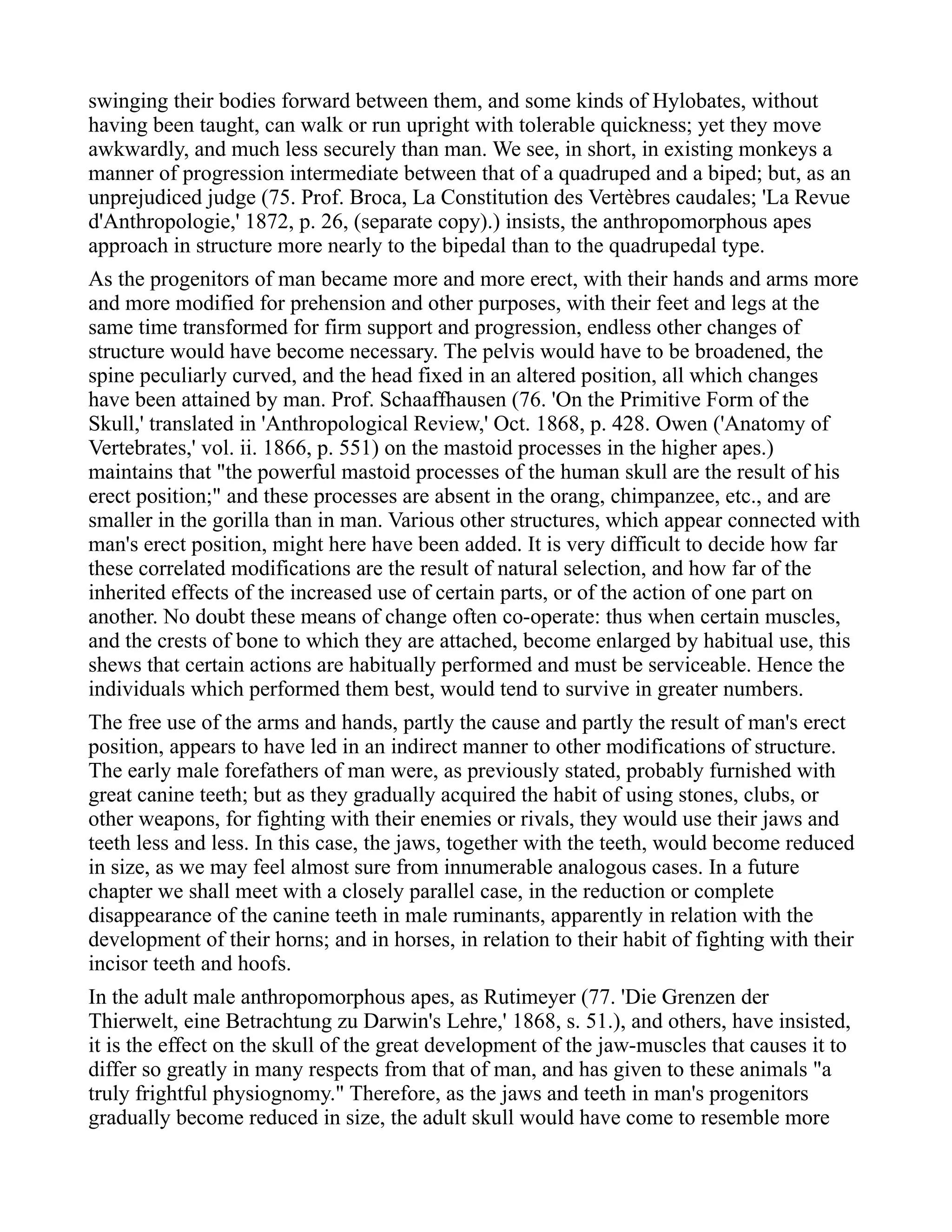 swinging their bodies forward between them, and some kinds of Hylobates, without
having been taught, can walk or run upright with tolerable quickness; yet they move
awkwardly, and much less securely than man. We see, in short, in existing monkeys a
manner of progression intermediate between that of a quadruped and a biped; but, as an
unprejudiced judge (75. Prof. Broca, La Constitution des Vertèbres caudales; 'La Revue
d'Anthropologie,' 1872, p. 26, (separate copy).) insists, the anthropomorphous apes
approach in structure more nearly to the bipedal than to the quadrupedal type.
As the progenitors of man became more and more erect, with their hands and arms more
and more modified for prehension and other purposes, with their feet and legs at the
same time transformed for firm support and progression, endless other changes of
structure would have become necessary. The pelvis would have to be broadened, the
spine peculiarly curved, and the head fixed in an altered position, all which changes
have been attained by man. Prof. Schaaffhausen (76. 'On the Primitive Form of the
Skull,' translated in 'Anthropological Review,' Oct. 1868, p. 428. Owen ('Anatomy of
Vertebrates,' vol. ii. 1866, p. 551) on the mastoid processes in the higher apes.)
maintains that "the powerful mastoid processes of the human skull are the result of his
erect position;" and these processes are absent in the orang, chimpanzee, etc., and are
smaller in the gorilla than in man. Various other structures, which appear connected with
man's erect position, might here have been added. It is very difficult to decide how far
these correlated modifications are the result of natural selection, and how far of the
inherited effects of the increased use of certain parts, or of the action of one part on
another. No doubt these means of change often co-operate: thus when certain muscles,
and the crests of bone to which they are attached, become enlarged by habitual use, this
shews that certain actions are habitually performed and must be serviceable. Hence the
individuals which performed them best, would tend to survive in greater numbers.
The free use of the arms and hands, partly the cause and partly the result of man's erect
position, appears to have led in an indirect manner to other modifications of structure.
The early male forefathers of man were, as previously stated, probably furnished with
great canine teeth; but as they gradually acquired the habit of using stones, clubs, or
other weapons, for fighting with their enemies or rivals, they would use their jaws and
teeth less and less. In this case, the jaws, together with the teeth, would become reduced
in size, as we may feel almost sure from innumerable analogous cases. In a future
chapter we shall meet with a closely parallel case, in the reduction or complete
disappearance of the canine teeth in male ruminants, apparently in relation with the
development of their horns; and in horses, in relation to their habit of fighting with their
incisor teeth and hoofs.
In the adult male anthropomorphous apes, as Rutimeyer (77. 'Die Grenzen der
Thierwelt, eine Betrachtung zu Darwin's Lehre,' 1868, s. 51.), and others, have insisted,
it is the effect on the skull of the great development of the jaw-muscles that causes it to
differ so greatly in many respects from that of man, and has given to these animals "a
truly frightful physiognomy." Therefore, as the jaws and teeth in man's progenitors
gradually become reduced in size, the adult skull would have come to resemble more
 