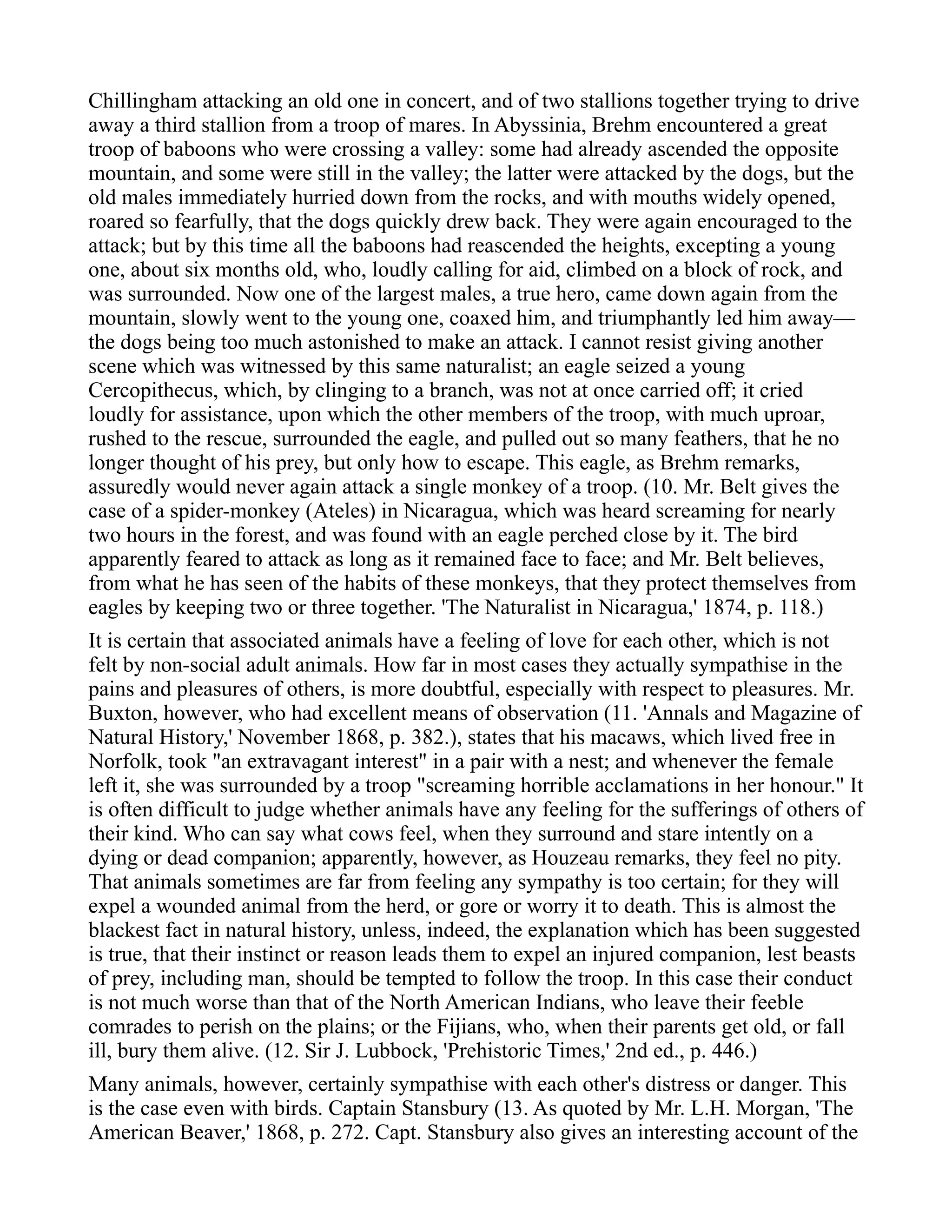 Chillingham attacking an old one in concert, and of two stallions together trying to drive
away a third stallion from a troop of mares. In Abyssinia, Brehm encountered a great
troop of baboons who were crossing a valley: some had already ascended the opposite
mountain, and some were still in the valley; the latter were attacked by the dogs, but the
old males immediately hurried down from the rocks, and with mouths widely opened,
roared so fearfully, that the dogs quickly drew back. They were again encouraged to the
attack; but by this time all the baboons had reascended the heights, excepting a young
one, about six months old, who, loudly calling for aid, climbed on a block of rock, and
was surrounded. Now one of the largest males, a true hero, came down again from the
mountain, slowly went to the young one, coaxed him, and triumphantly led him away—
the dogs being too much astonished to make an attack. I cannot resist giving another
scene which was witnessed by this same naturalist; an eagle seized a young
Cercopithecus, which, by clinging to a branch, was not at once carried off; it cried
loudly for assistance, upon which the other members of the troop, with much uproar,
rushed to the rescue, surrounded the eagle, and pulled out so many feathers, that he no
longer thought of his prey, but only how to escape. This eagle, as Brehm remarks,
assuredly would never again attack a single monkey of a troop. (10. Mr. Belt gives the
case of a spider-monkey (Ateles) in Nicaragua, which was heard screaming for nearly
two hours in the forest, and was found with an eagle perched close by it. The bird
apparently feared to attack as long as it remained face to face; and Mr. Belt believes,
from what he has seen of the habits of these monkeys, that they protect themselves from
eagles by keeping two or three together. 'The Naturalist in Nicaragua,' 1874, p. 118.)
It is certain that associated animals have a feeling of love for each other, which is not
felt by non-social adult animals. How far in most cases they actually sympathise in the
pains and pleasures of others, is more doubtful, especially with respect to pleasures. Mr.
Buxton, however, who had excellent means of observation (11. 'Annals and Magazine of
Natural History,' November 1868, p. 382.), states that his macaws, which lived free in
Norfolk, took "an extravagant interest" in a pair with a nest; and whenever the female
left it, she was surrounded by a troop "screaming horrible acclamations in her honour." It
is often difficult to judge whether animals have any feeling for the sufferings of others of
their kind. Who can say what cows feel, when they surround and stare intently on a
dying or dead companion; apparently, however, as Houzeau remarks, they feel no pity.
That animals sometimes are far from feeling any sympathy is too certain; for they will
expel a wounded animal from the herd, or gore or worry it to death. This is almost the
blackest fact in natural history, unless, indeed, the explanation which has been suggested
is true, that their instinct or reason leads them to expel an injured companion, lest beasts
of prey, including man, should be tempted to follow the troop. In this case their conduct
is not much worse than that of the North American Indians, who leave their feeble
comrades to perish on the plains; or the Fijians, who, when their parents get old, or fall
ill, bury them alive. (12. Sir J. Lubbock, 'Prehistoric Times,' 2nd ed., p. 446.)
Many animals, however, certainly sympathise with each other's distress or danger. This
is the case even with birds. Captain Stansbury (13. As quoted by Mr. L.H. Morgan, 'The
American Beaver,' 1868, p. 272. Capt. Stansbury also gives an interesting account of the
 