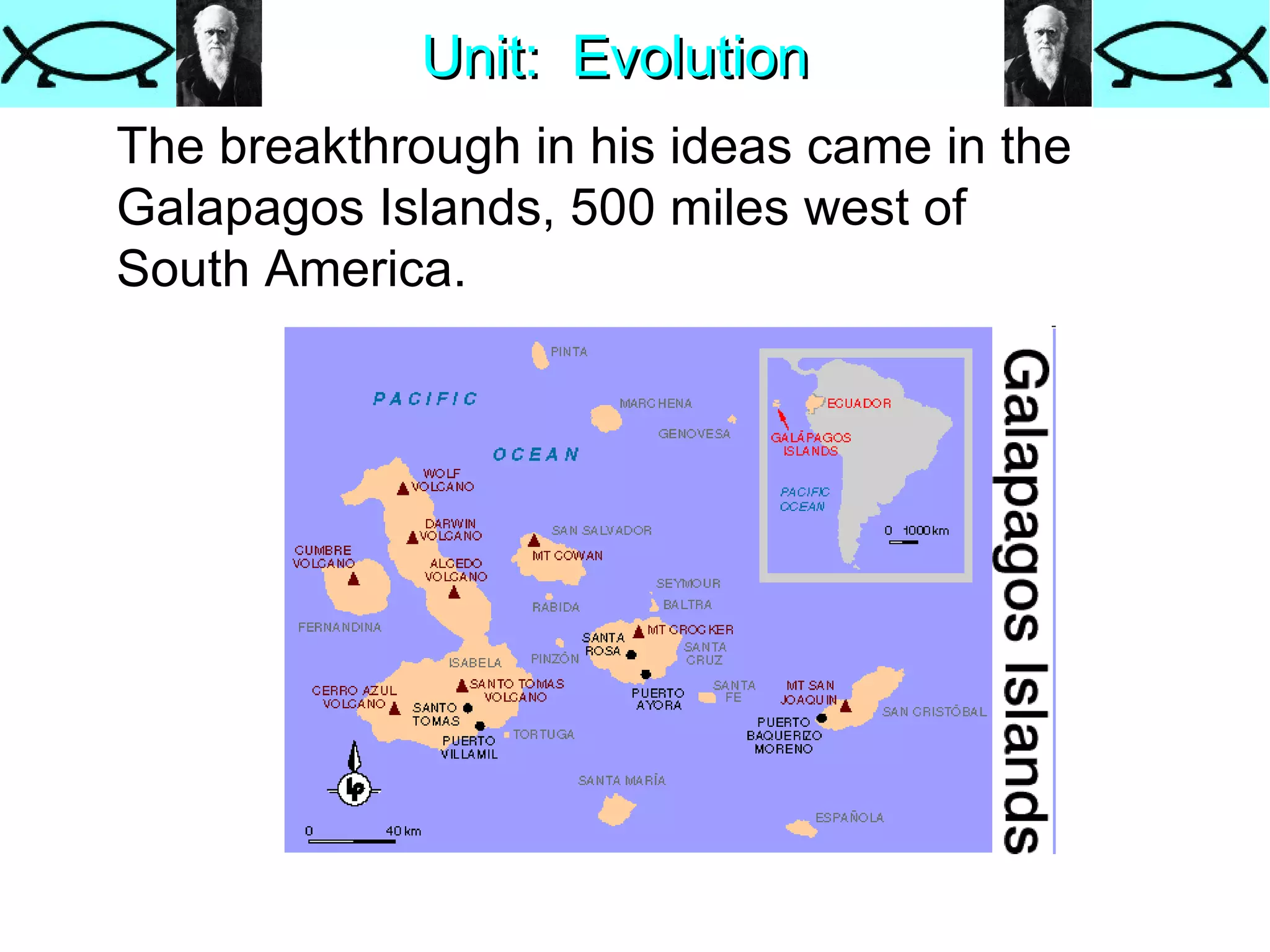 Unit:  Evolution The breakthrough in his ideas came in the Galapagos Islands, 500 miles west of South America.  