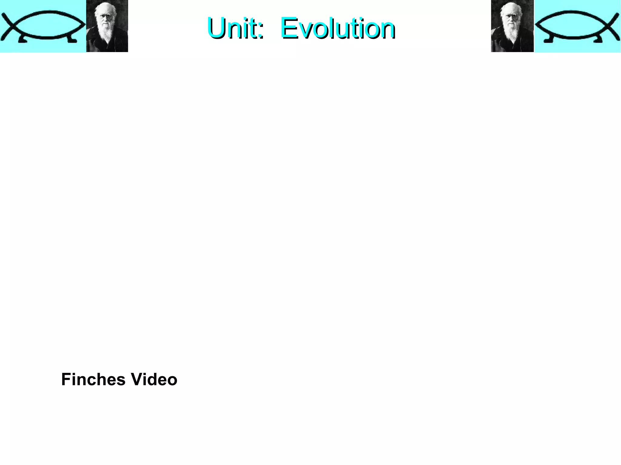 Unit:  Evolution Finches Video 