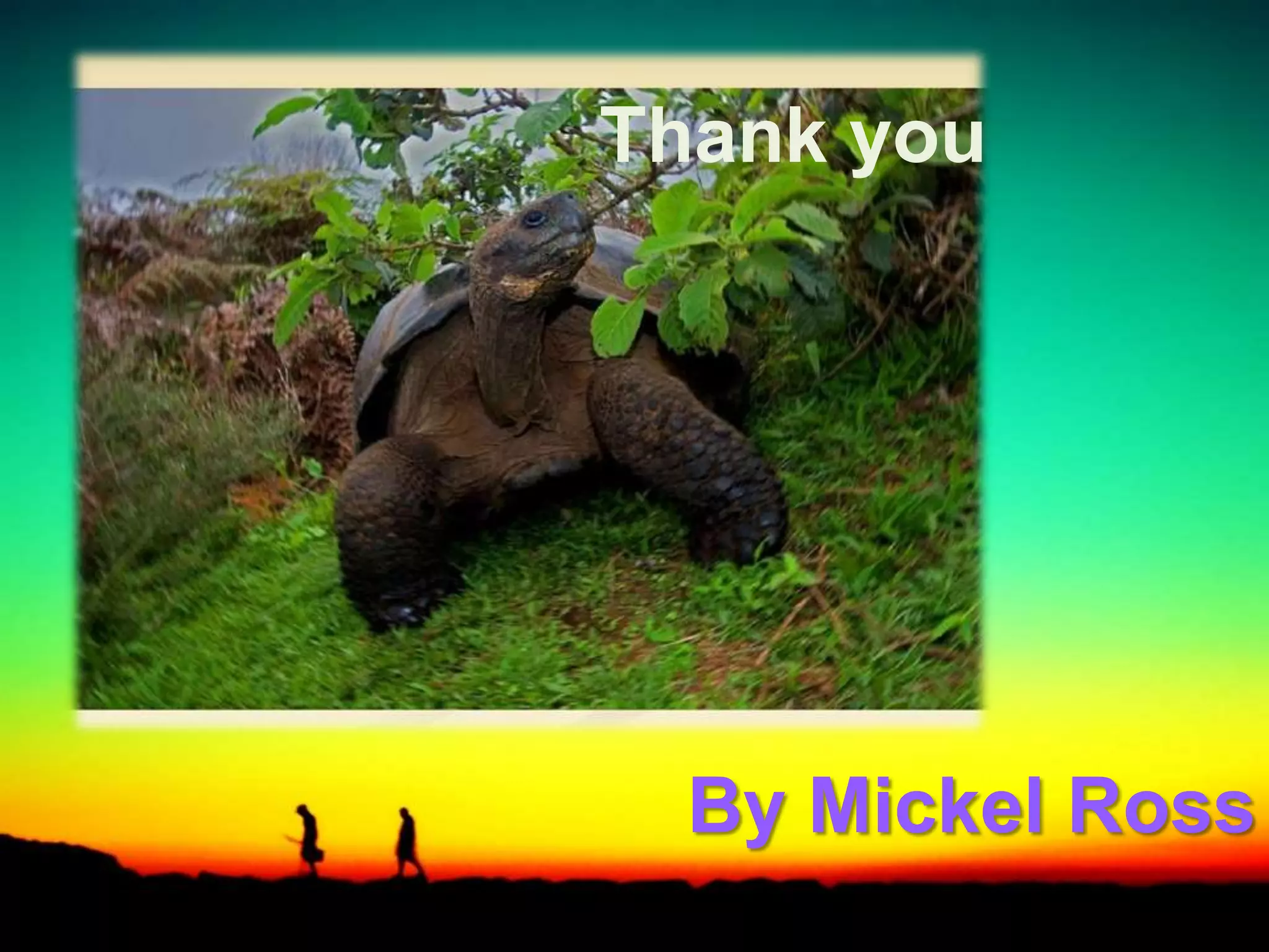 Thank you
By Mickel Ross
 