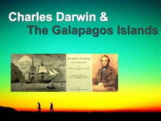 The Galapagos Islands
 