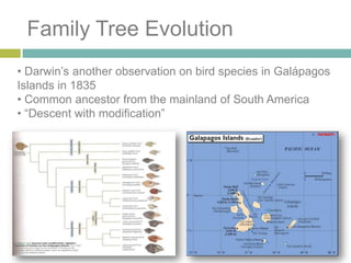 Darwin and MedicineDarwin was admitted to Edinburgh University, in ScotlandMany members of his family including his dad were in the medical fieldAssisted at his dad’s medical practiceAgain he found most of his school studies a boreScared of blood