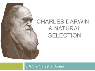 Charles Darwin & natural selection Ji Won, Natasha, Amna 