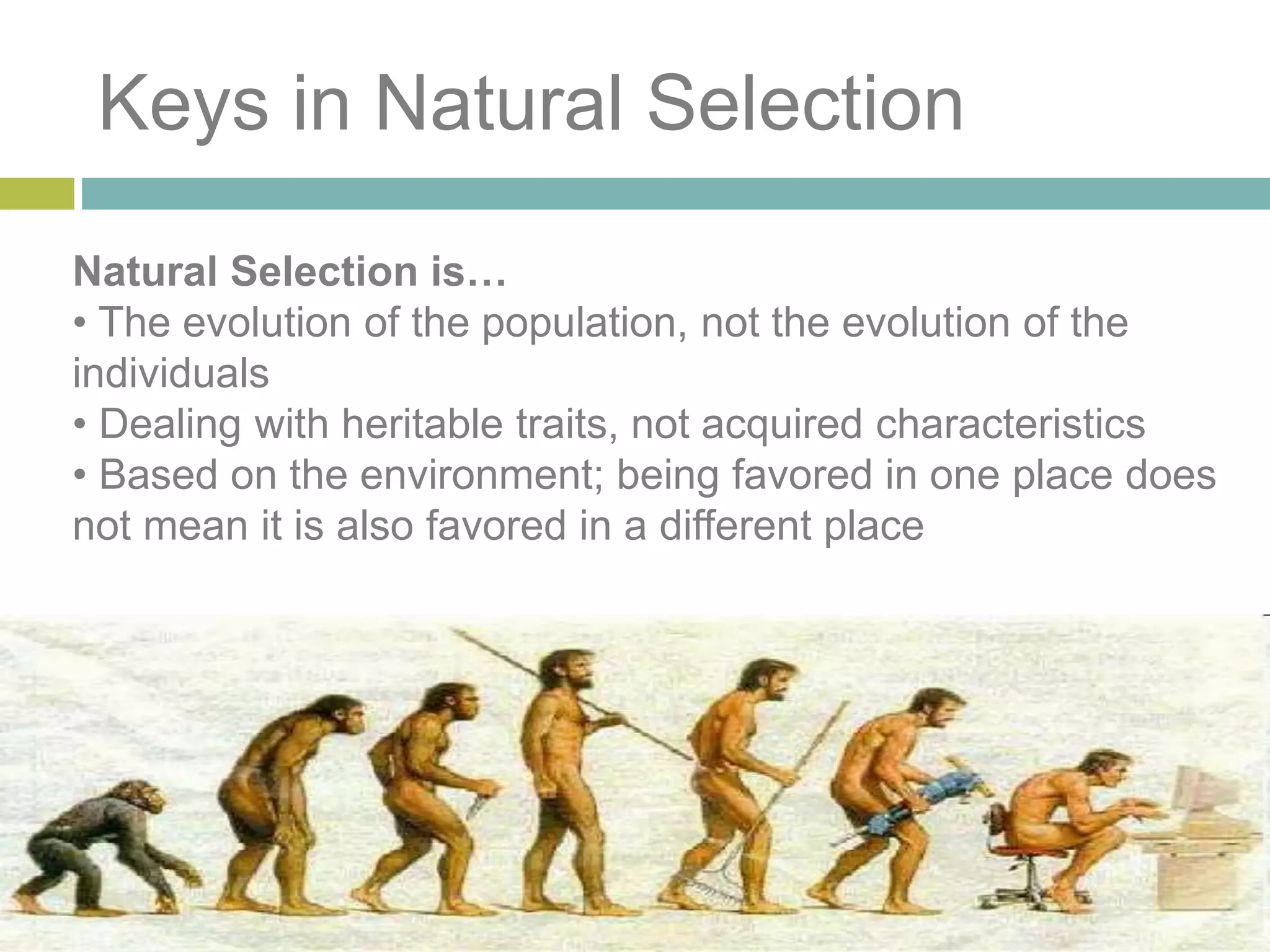 Keys in Natural Selection
Natural Selection is…
• The evolution of the population, not the evolution of the
individuals
• Dealing with heritable traits, not acquired characteristics
• Based on the environment; being favored in one place does
not mean it is also favored in a different place
 