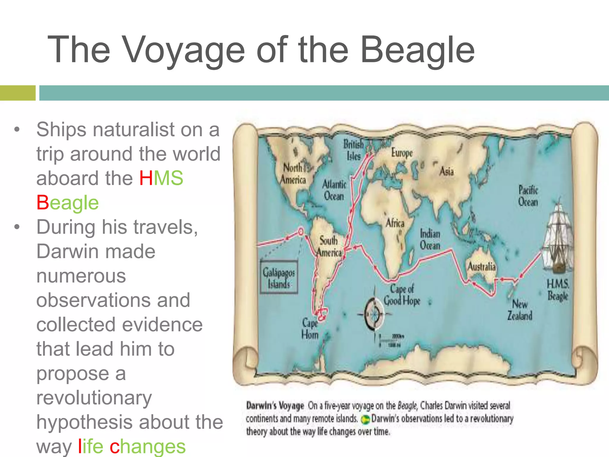 The Voyage of the Beagle
• Ships naturalist on a
trip around the world
aboard the HMS
Beagle
• During his travels,
Darwin made
numerous
observations and
collected evidence
that lead him to
propose a
revolutionary
hypothesis about the
way life changes
 