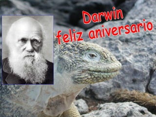 Darwin  feliz aniversario 