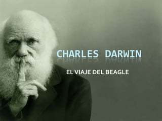 CHARLES DARWIN EL VIAJE DEL BEAGLE                     
