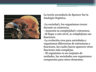 La teoría secundaria de Spencer fue la Analogía Orgánica.La sociedad y los organismos crecen durante su existencia.