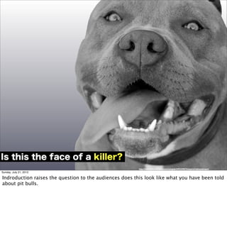 http://www.ﬂickr.com/photos/jumpinglab/2493339073/sizes/o/in/photostream/
Is this the face of a killer?
Sunday, July 21, 2013
Indroduction raises the question to the audiences does this look like what you have been told
about pit bulls.
 