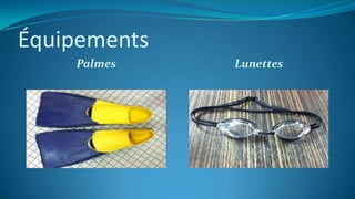 Équipements
Palmes Lunettes
 