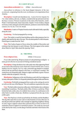 [Charles_McCann]_100_beautiful_trees_of_India_A_d(BookFi.org).pdf