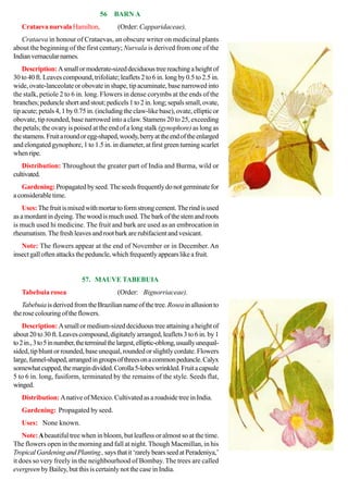 [Charles_McCann]_100_beautiful_trees_of_India_A_d(BookFi.org).pdf