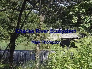Charles River Ecosystem Mark Thompson 