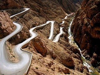 The E-Brarian Revolution: The Collapse of the Traditional Librarian and the Dawn of the E-Empire