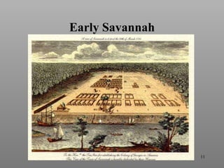 Early Savannah 
