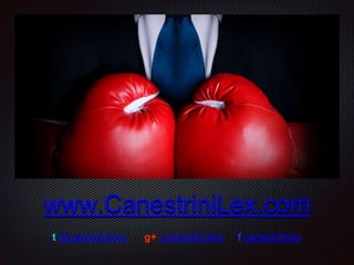 www.CanestriniLex.com
t @canestrinilex g+ +canestrinilex f canestrinilex
 