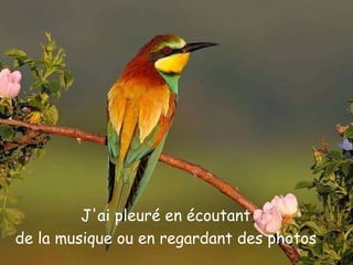 J'ai pleuré en écoutant de la musique ou en regardant des photos 
