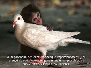 J'ai pardonné des erreurs presque impardonnables, j'ai essayé de remplacer des personnes irremplaçables et oublié des personnes inoubliables. 